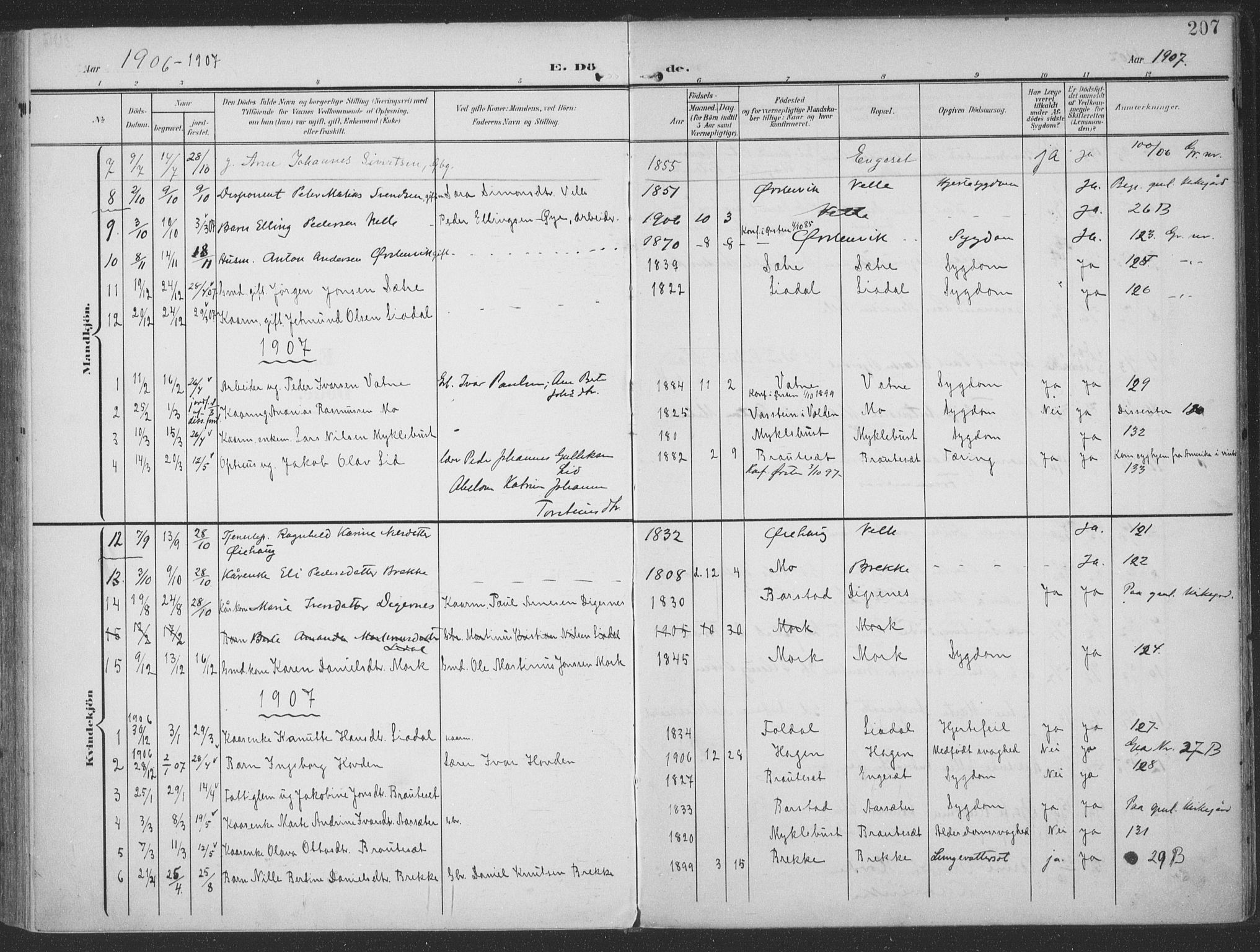 Ministerialprotokoller, klokkerbøker og fødselsregistre - Møre og Romsdal, SAT/A-1454/513/L0178: Parish register (official) no. 513A05, 1906-1919, p. 207