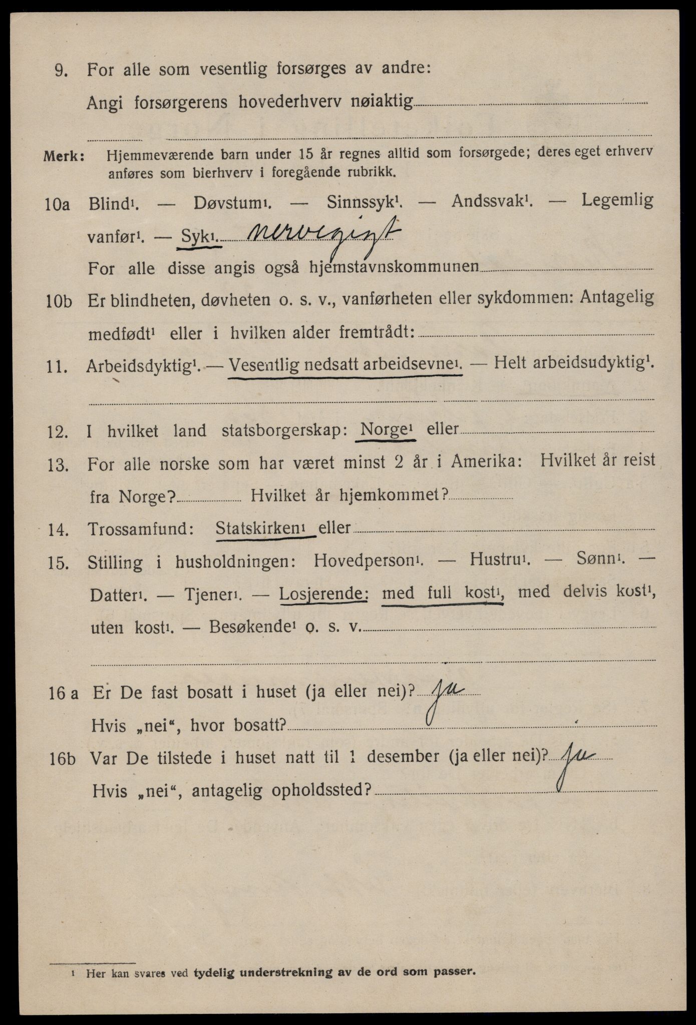 SAKO, 1920 census for Nissedal, 1920, p. 2018