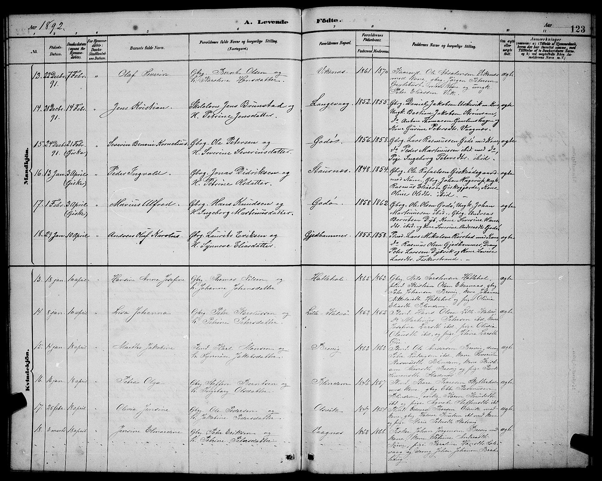Ministerialprotokoller, klokkerbøker og fødselsregistre - Møre og Romsdal, SAT/A-1454/528/L0431: Parish register (copy) no. 528C12, 1885-1898, p. 123