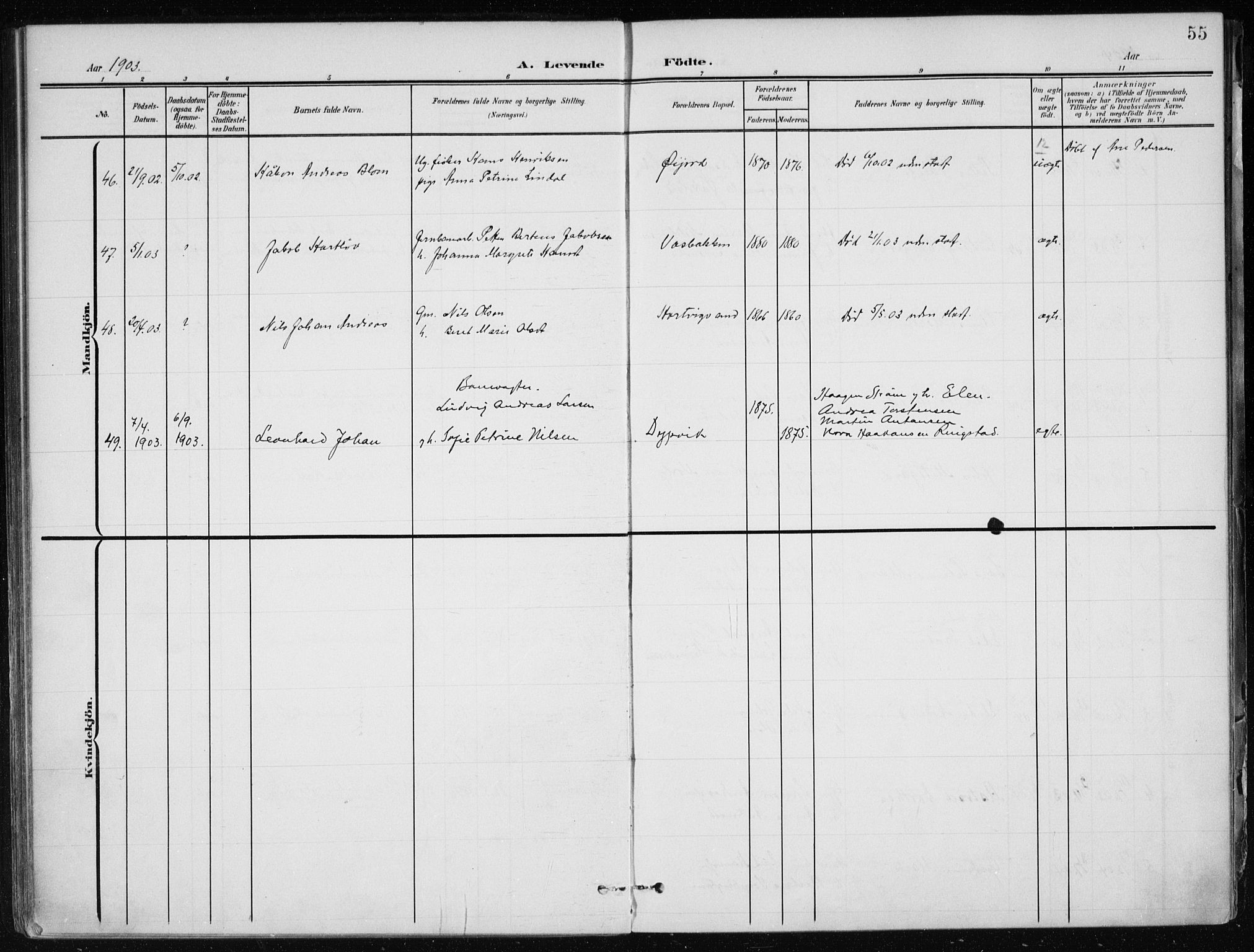 Ministerialprotokoller, klokkerbøker og fødselsregistre - Nordland, SAT/A-1459/866/L0941: Parish register (official) no. 866A04, 1901-1917, p. 55
