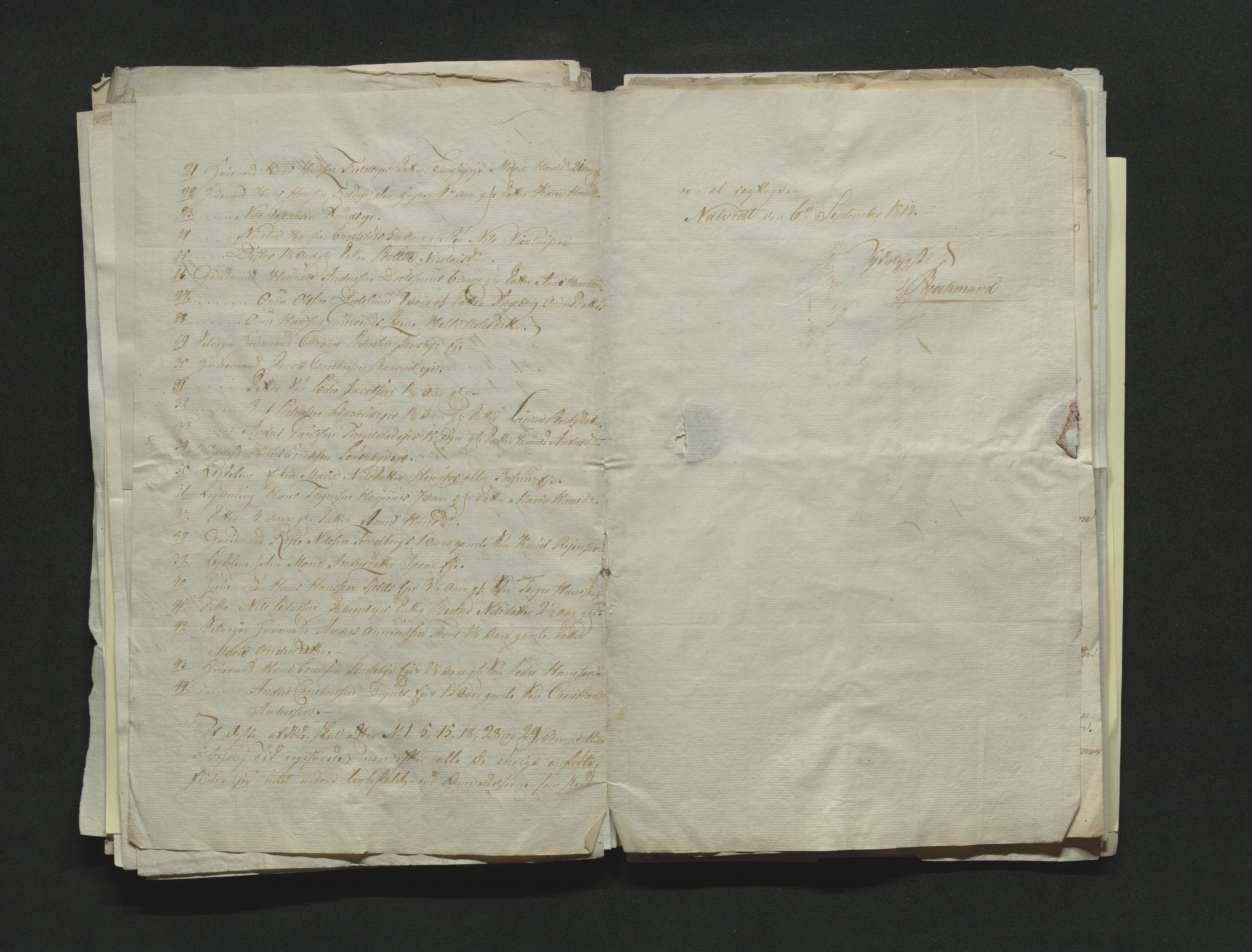 Eiker, Modum og Sigdal sorenskriveri, AV/SAKO-A-123/H/Ha/Hab/L0001: Dødsfallsmeldinger, 1812-1822, p. 87