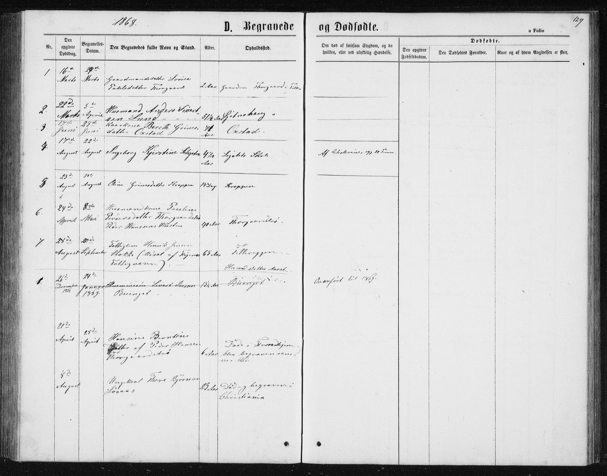 Ministerialprotokoller, klokkerbøker og fødselsregistre - Sør-Trøndelag, SAT/A-1456/621/L0459: Parish register (copy) no. 621C02, 1866-1895, p. 129