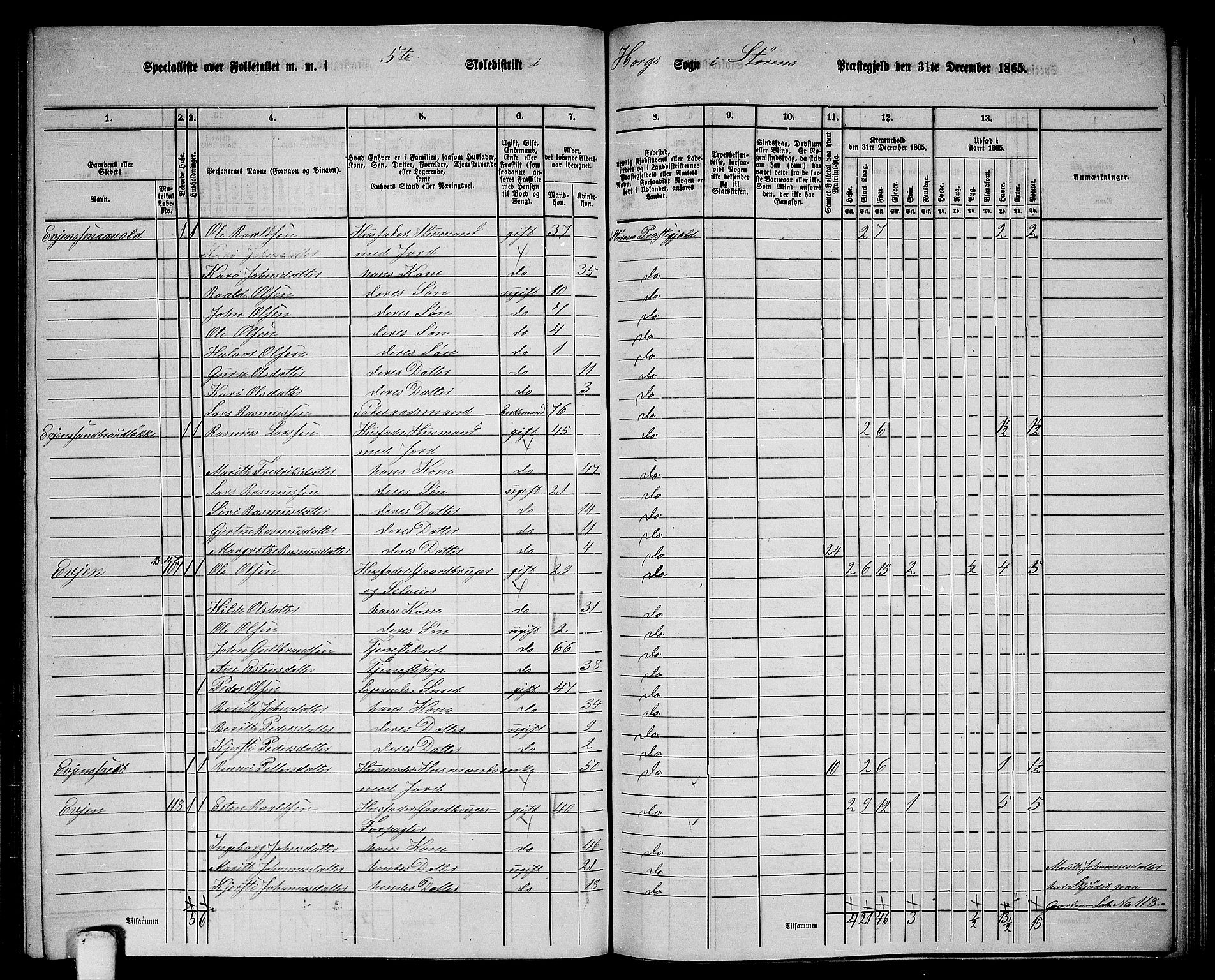 RA, 1865 census for Støren, 1865, p. 199