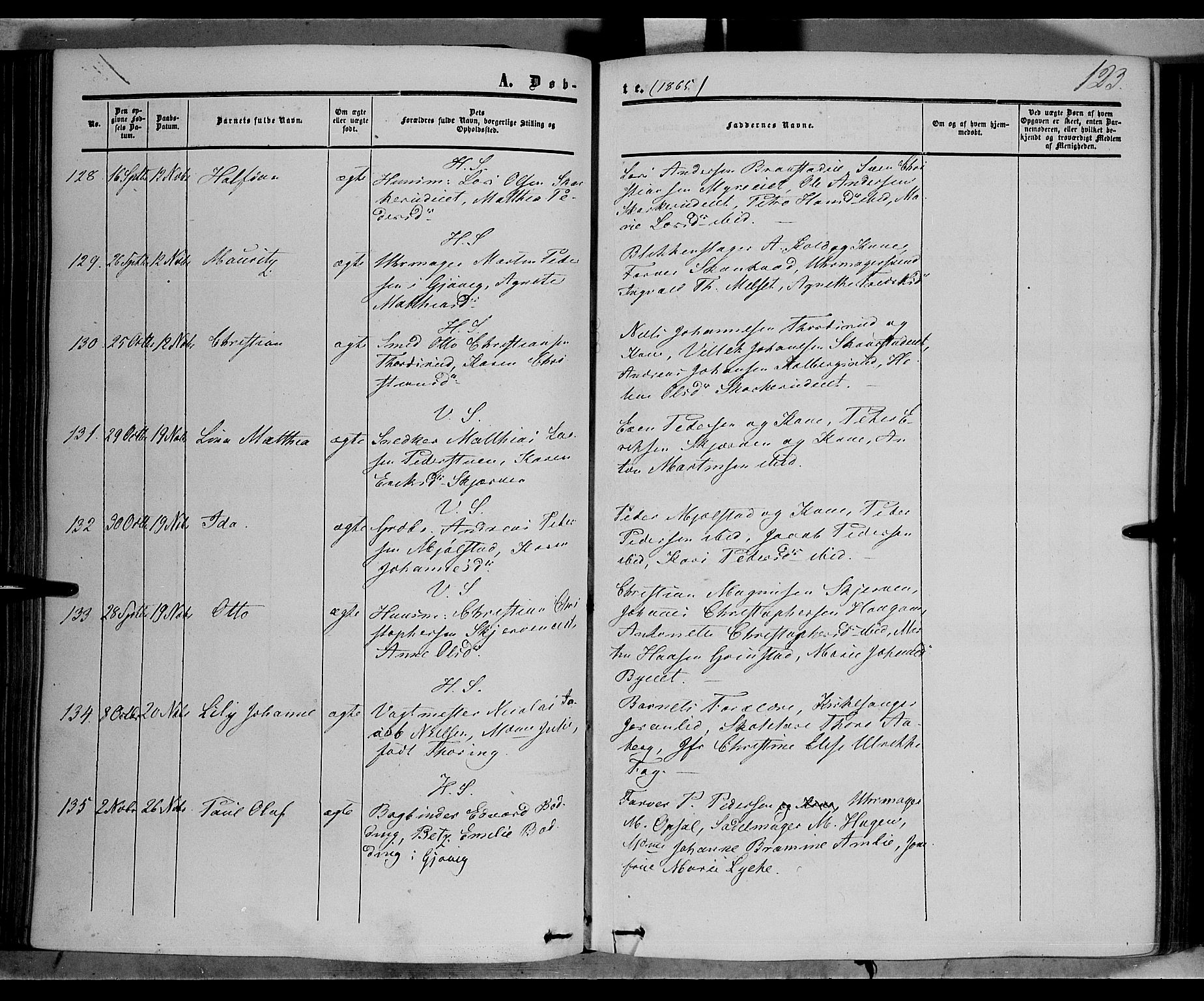 Vardal prestekontor, SAH/PREST-100/H/Ha/Haa/L0006: Parish register (official) no. 6, 1854-1866, p. 123