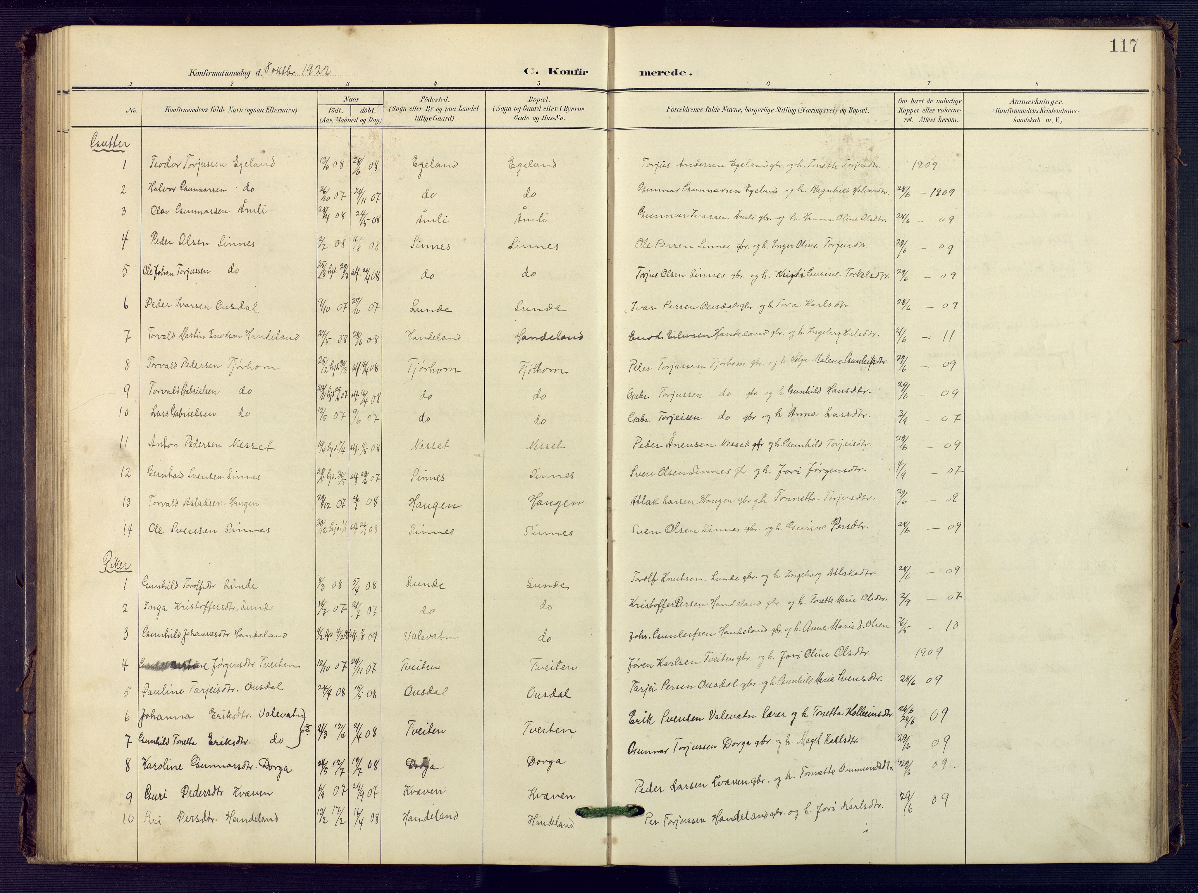 Sirdal sokneprestkontor, AV/SAK-1111-0036/F/Fb/Fba/L0002: Parish register (copy) no. B 2, 1905-1958, p. 117