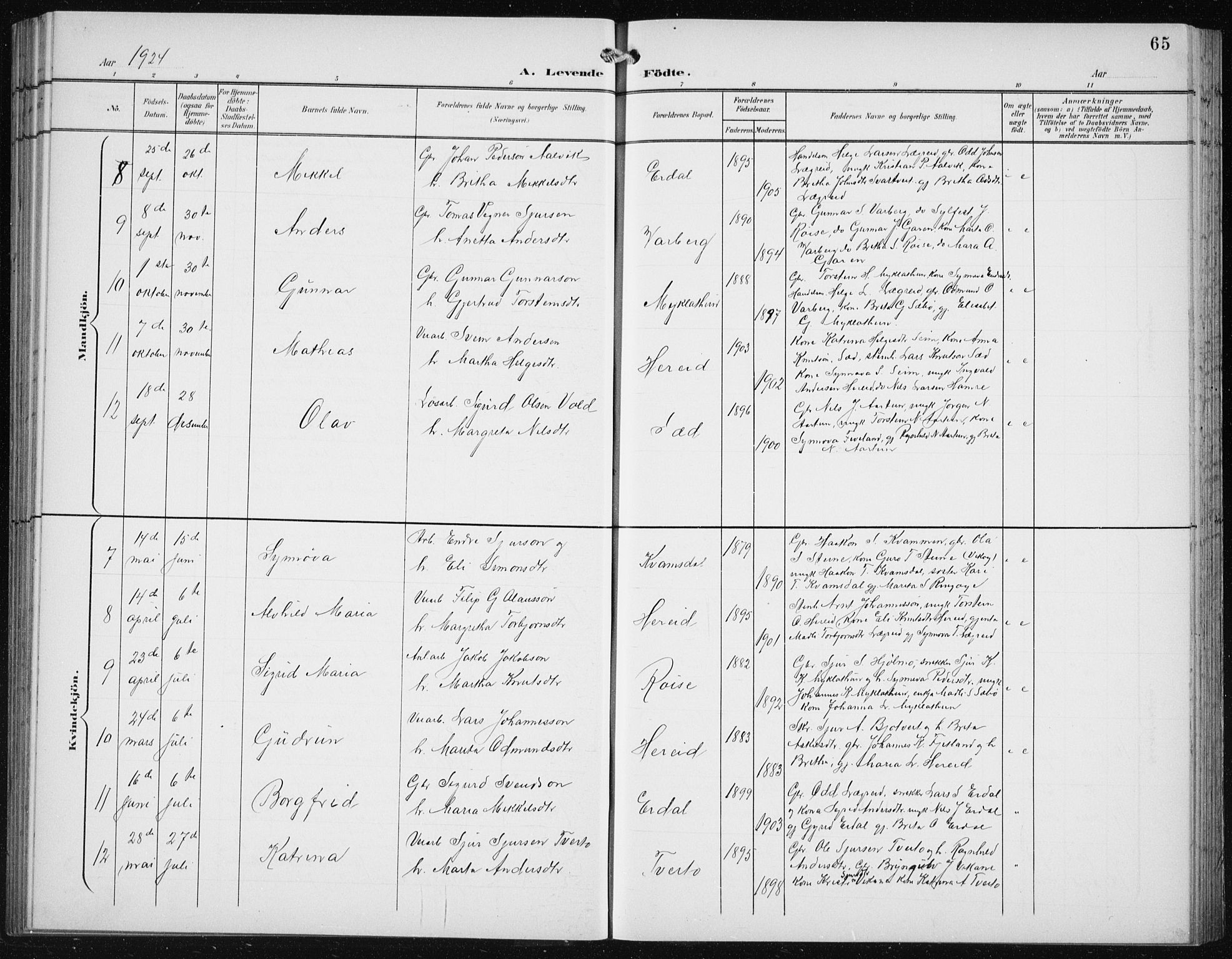 Ullensvang sokneprestembete, SAB/A-78701/H/Hab: Parish register (copy) no. C  3, 1899-1932, p. 65