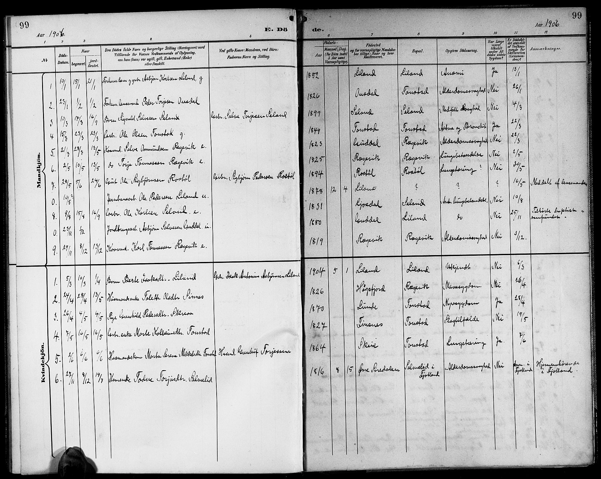 Sirdal sokneprestkontor, SAK/1111-0036/F/Fb/Fbb/L0004: Parish register (copy) no. B 4, 1895-1916, p. 99