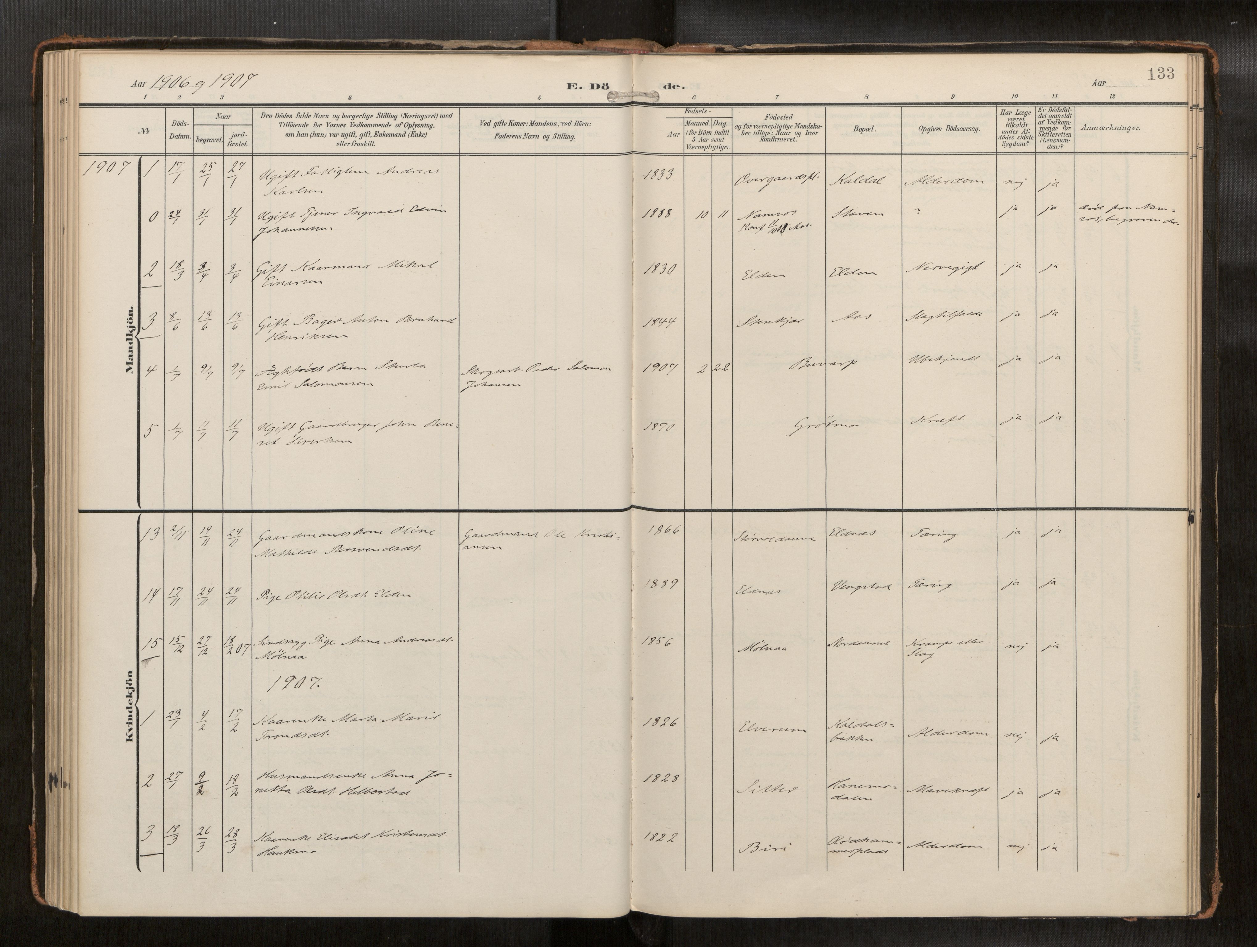 Ministerialprotokoller, klokkerbøker og fødselsregistre - Nord-Trøndelag, AV/SAT-A-1458/742/L0409a: Parish register (official) no. 742A03, 1906-1924, p. 133