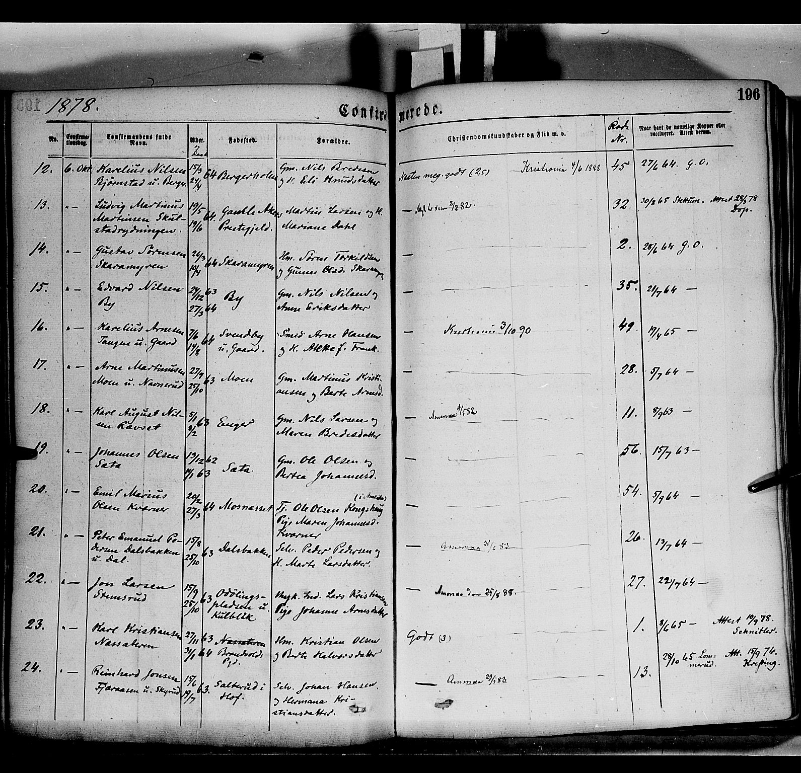 Grue prestekontor, AV/SAH-PREST-036/H/Ha/Haa/L0011: Parish register (official) no. 11, 1873-1880, p. 196