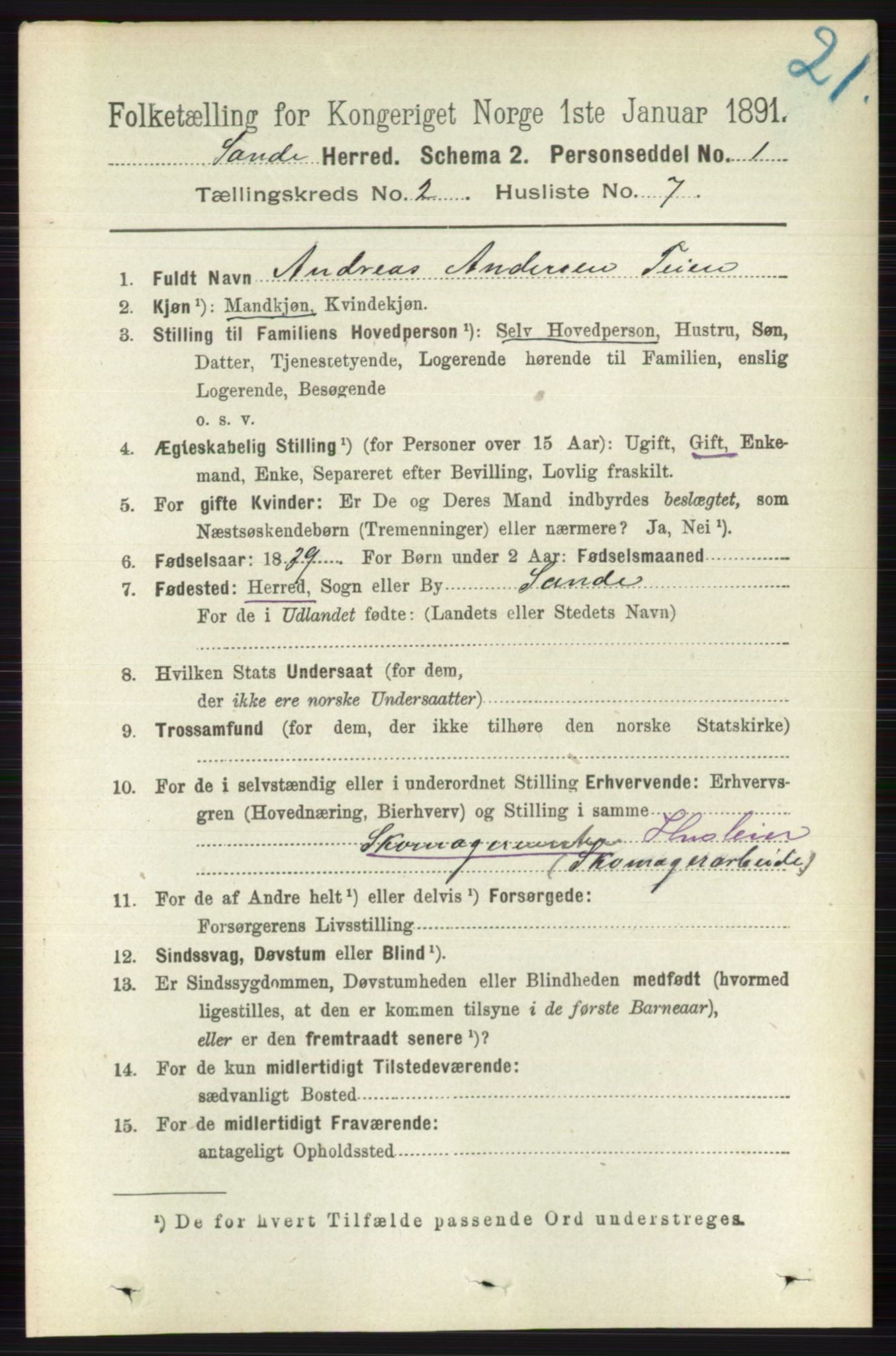 RA, 1891 census for 0713 Sande, 1891, p. 552