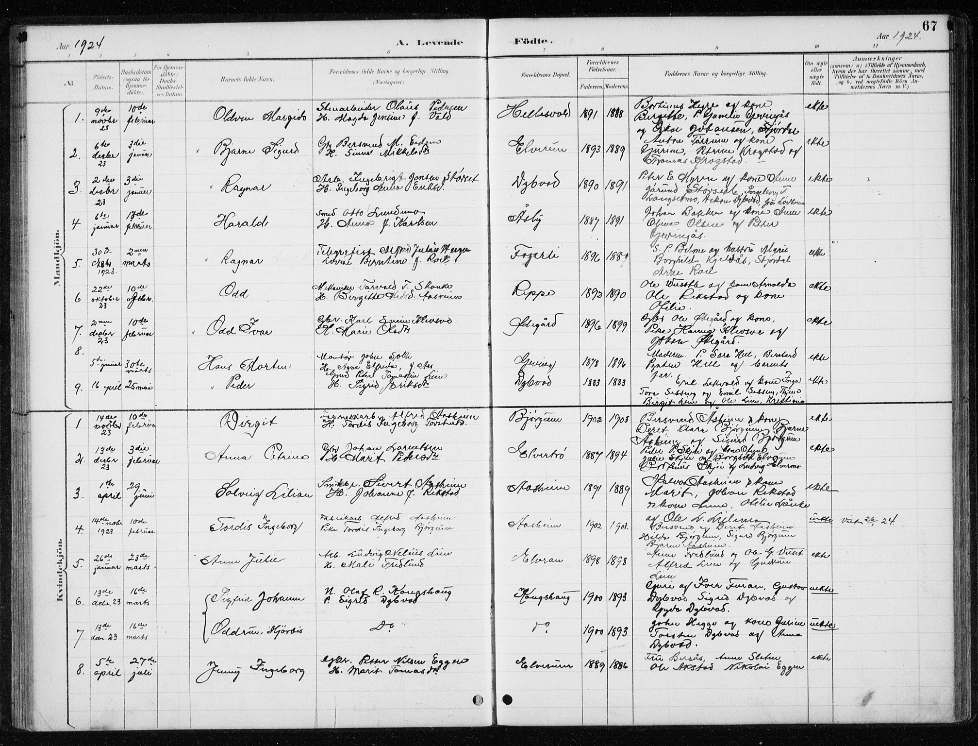 Ministerialprotokoller, klokkerbøker og fødselsregistre - Nord-Trøndelag, SAT/A-1458/710/L0096: Parish register (copy) no. 710C01, 1892-1925, p. 67
