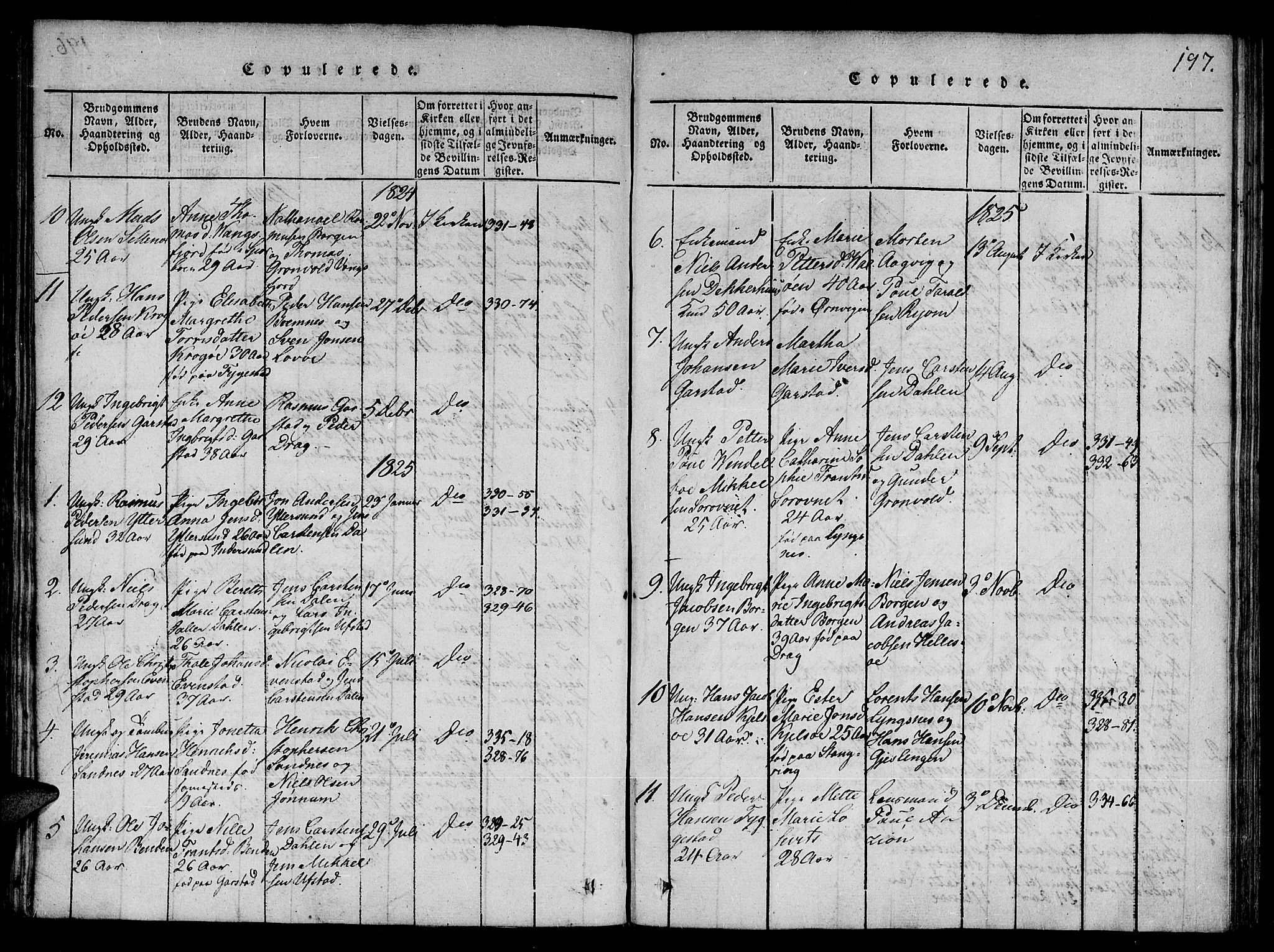 Ministerialprotokoller, klokkerbøker og fødselsregistre - Nord-Trøndelag, SAT/A-1458/784/L0667: Parish register (official) no. 784A03 /1, 1816-1829, p. 197