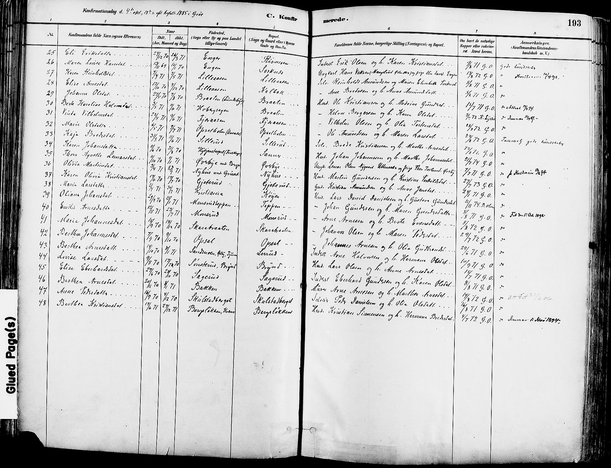 Grue prestekontor, AV/SAH-PREST-036/H/Ha/Haa/L0012: Parish register (official) no. 12, 1881-1897, p. 193