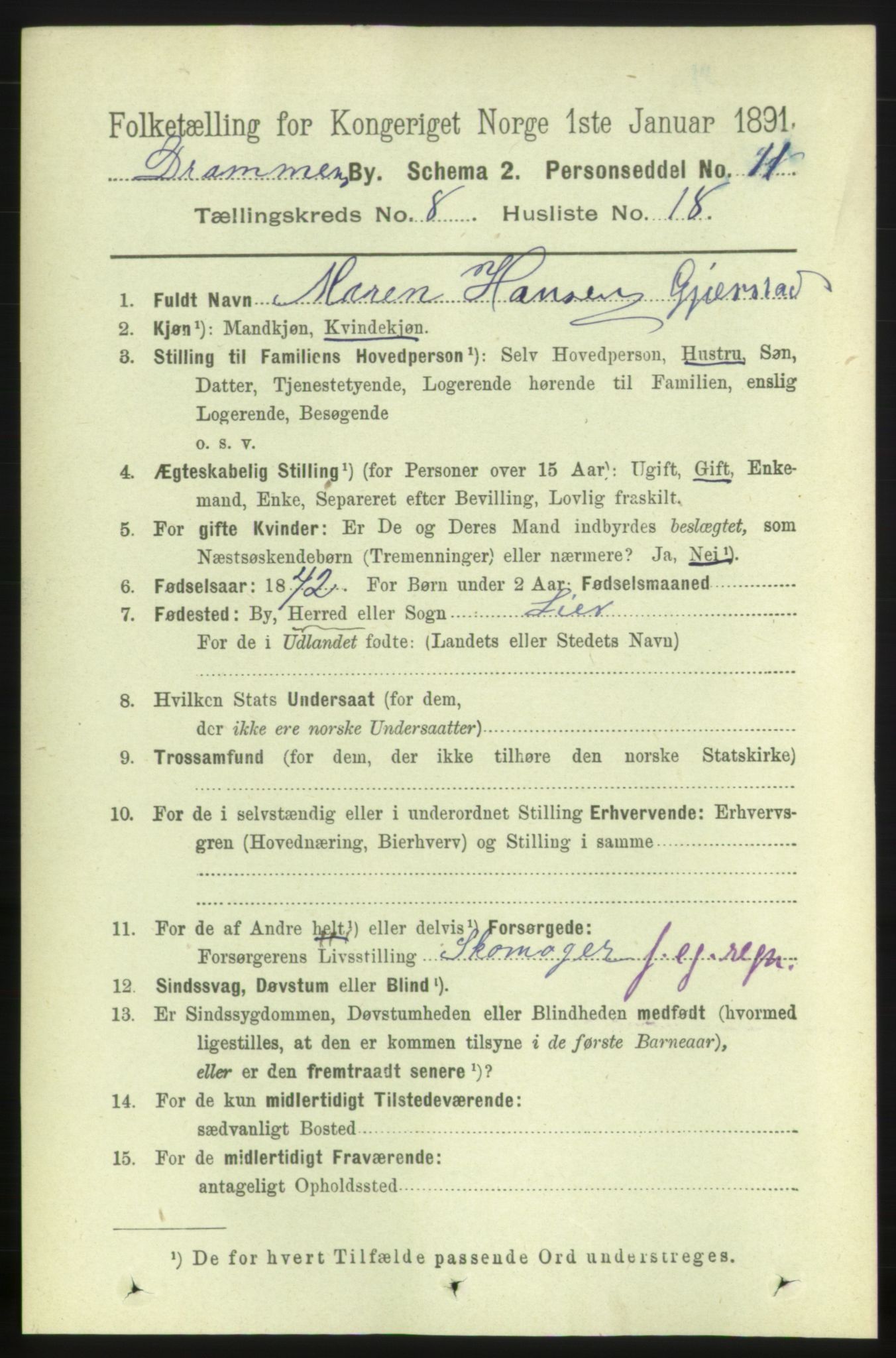 RA, 1891 census for 0602 Drammen, 1891, p. 7023