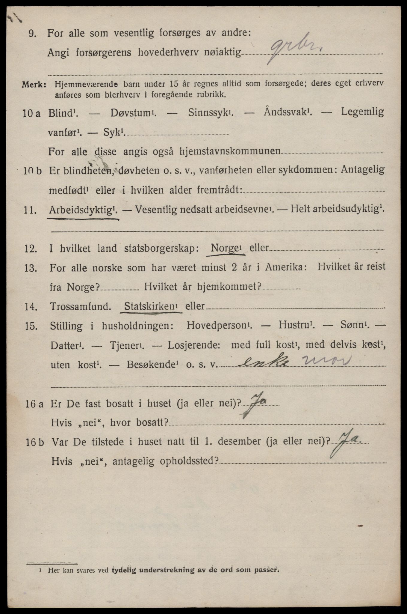 SAKO, 1920 census for Seljord, 1920, p. 3899