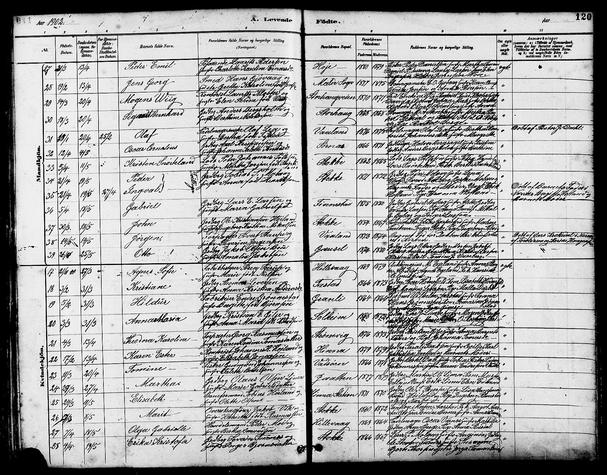 Hetland sokneprestkontor, AV/SAST-A-101826/30/30BB/L0005: Parish register (copy) no. B 5, 1878-1910, p. 120
