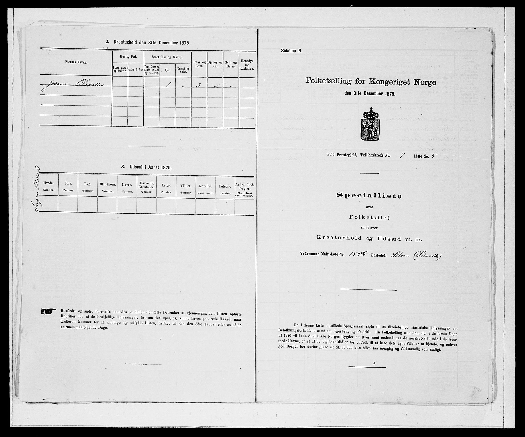 SAB, 1875 Census for 1441P Selje, 1875, p. 807