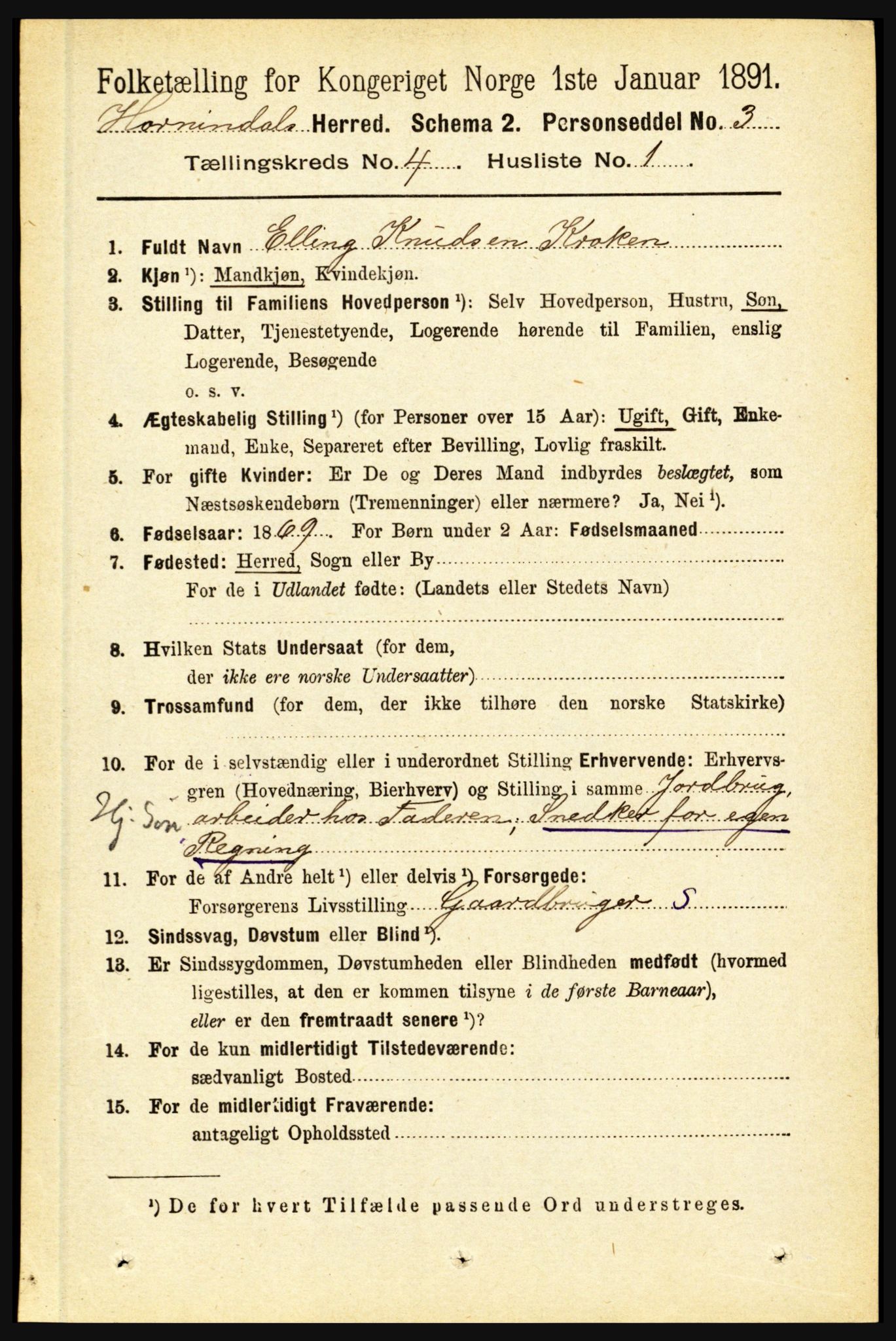 RA, 1891 census for 1444 Hornindal, 1891, p. 867