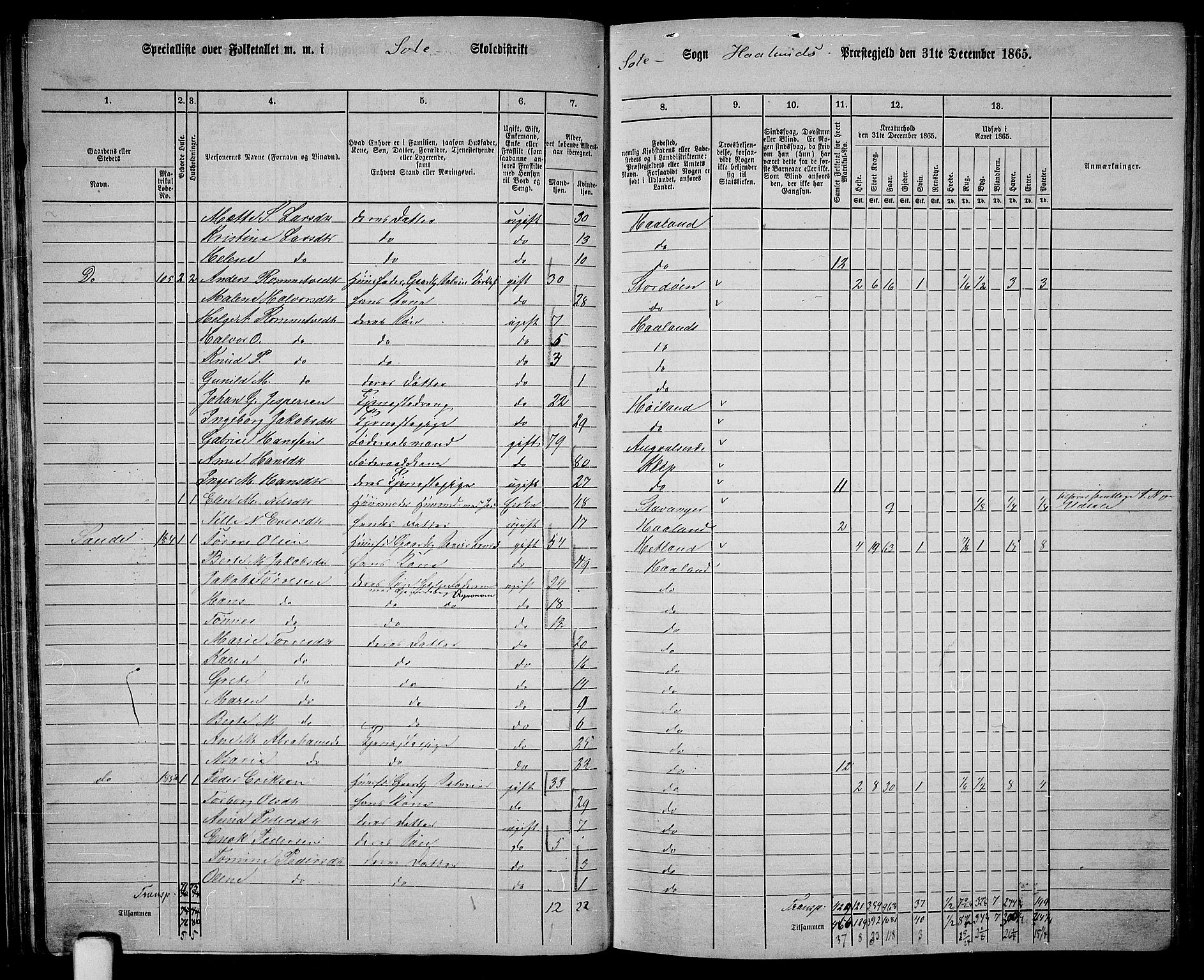 RA, 1865 census for Håland, 1865, p. 51