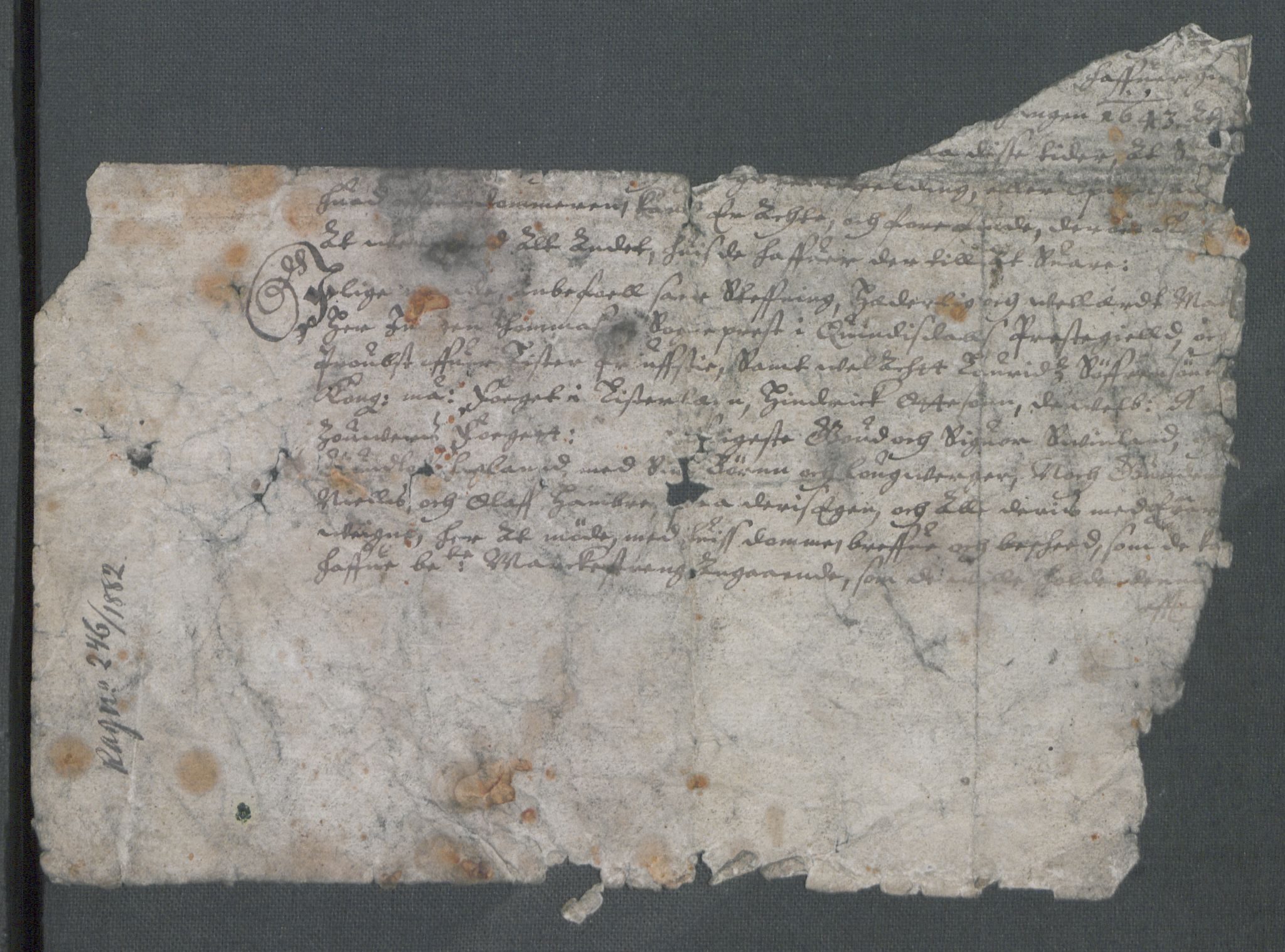 Riksarkivets diplomsamling, AV/RA-EA-5965/F02/L0159: Dokumenter, 1645-1646, p. 11