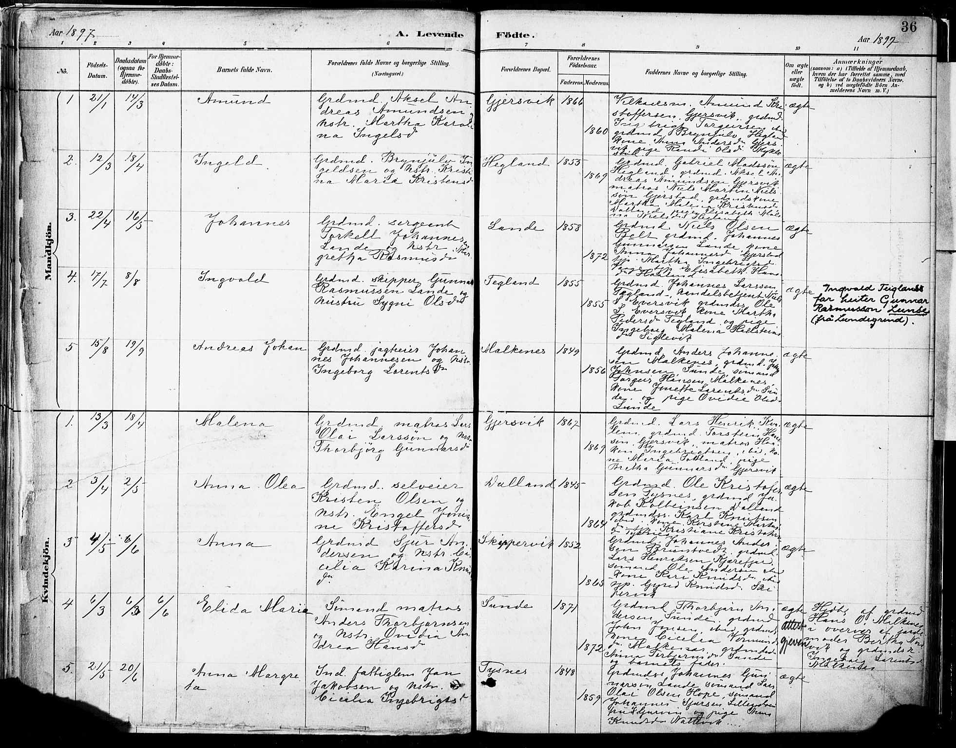 Tysnes sokneprestembete, SAB/A-78601/H/Haa: Parish register (official) no. B 1, 1887-1906, p. 36