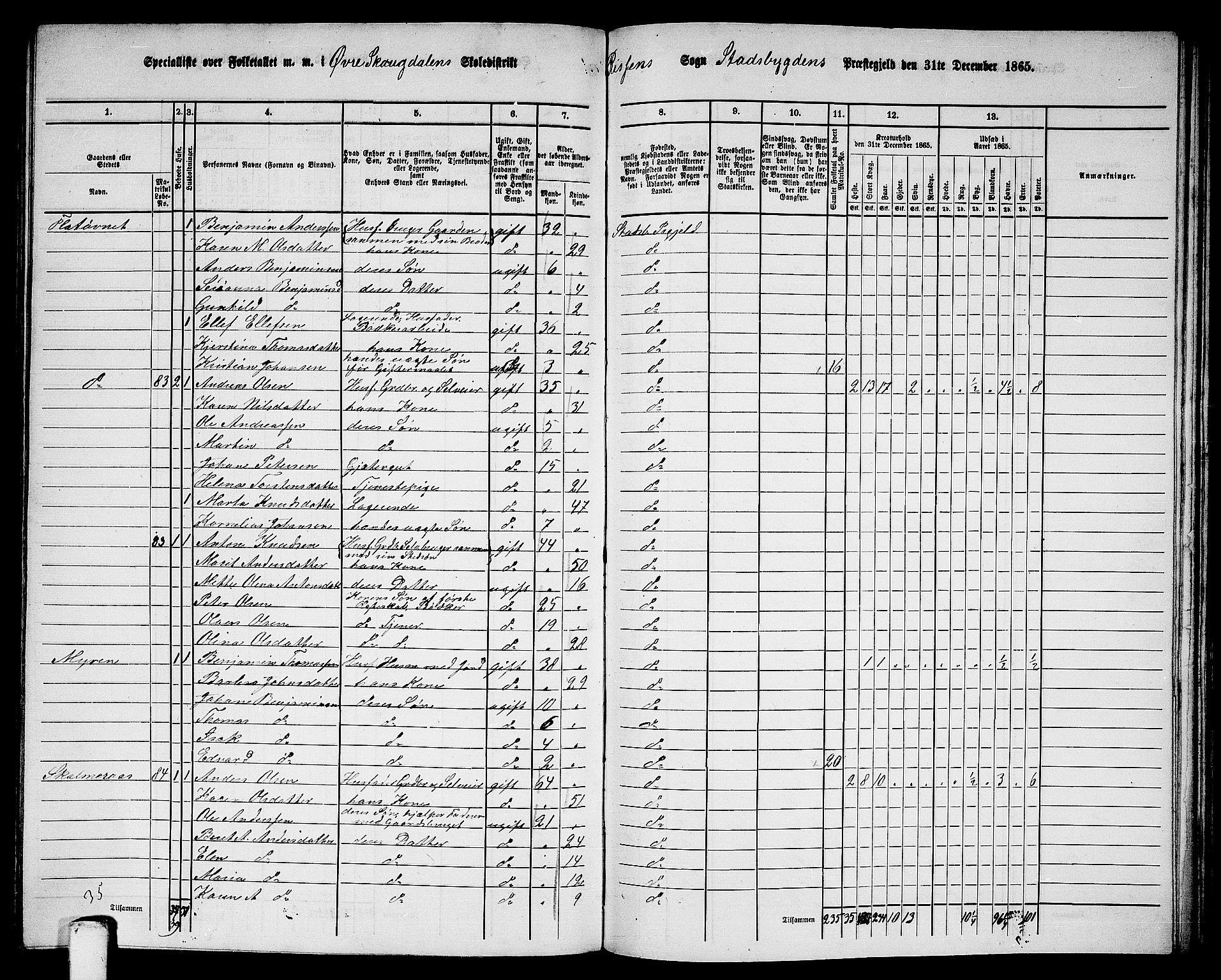 RA, 1865 census for Stadsbygd, 1865, p. 163