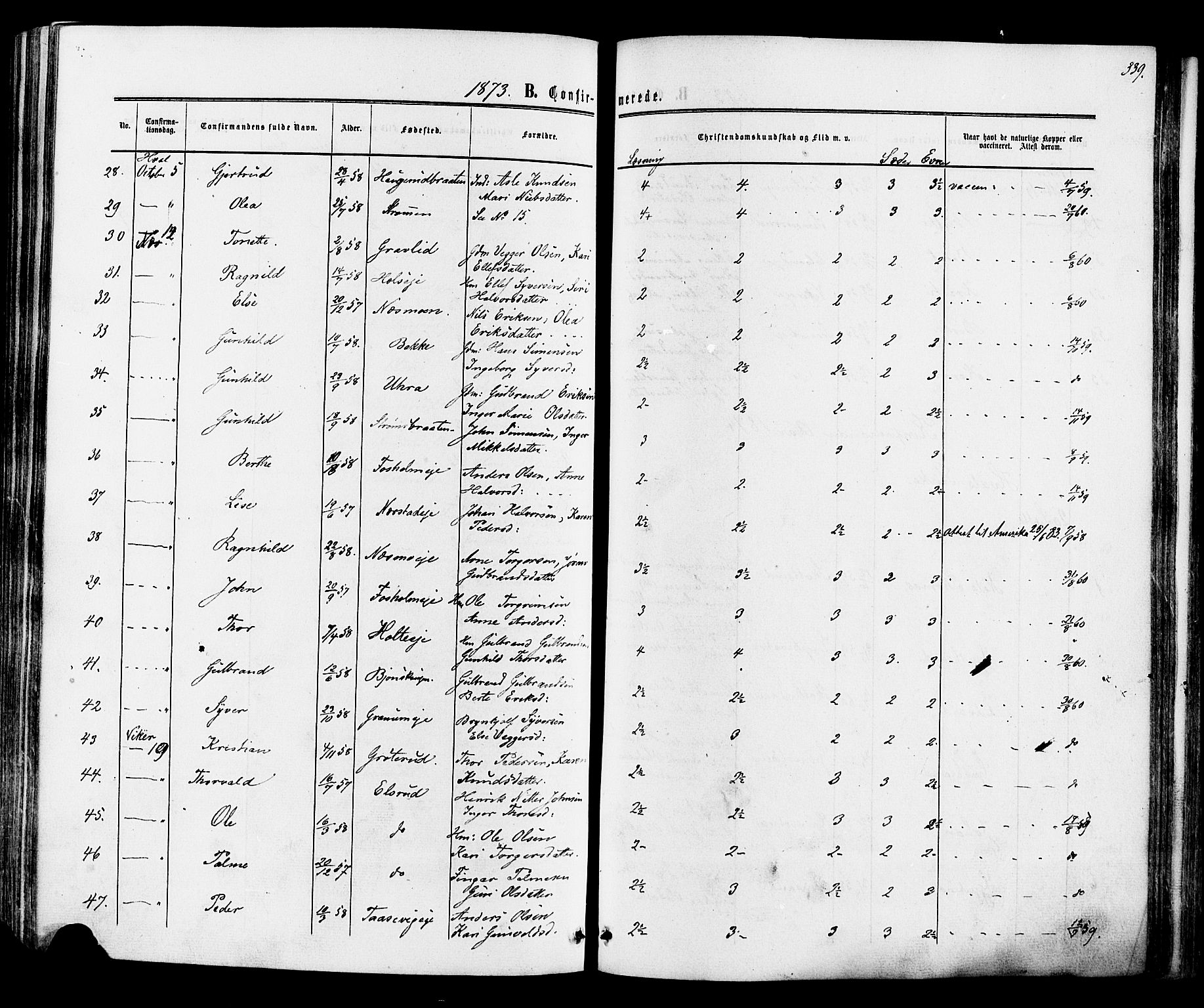 Ådal kirkebøker, SAKO/A-248/F/Fa/L0001: Parish register (official) no. I 1, 1857-1883, p. 339