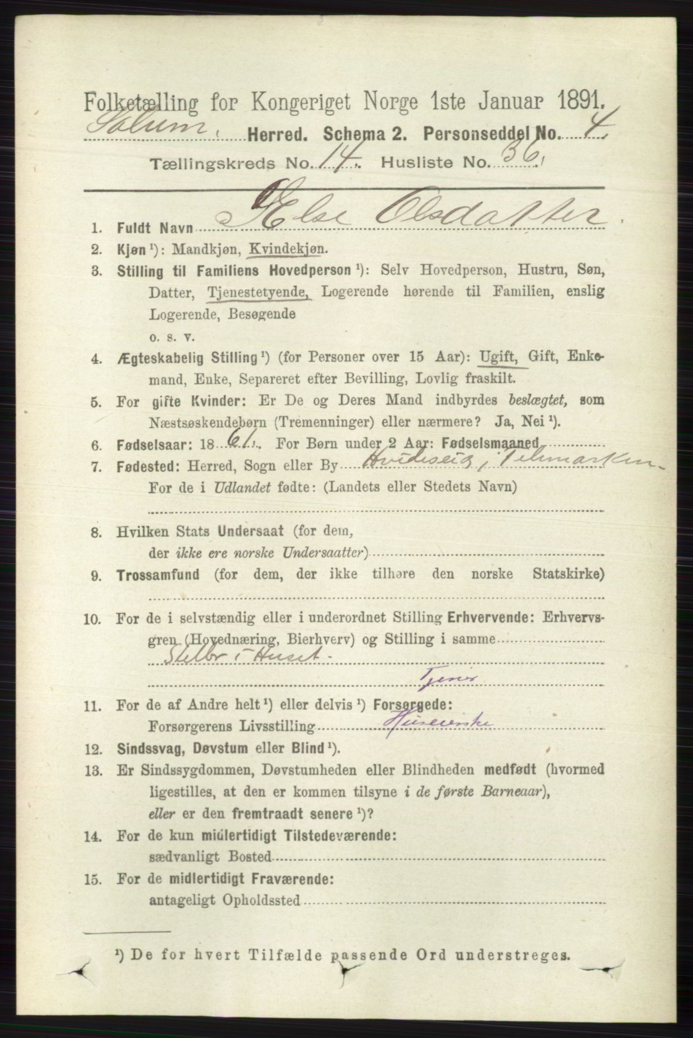 RA, 1891 census for 0818 Solum, 1891, p. 6610