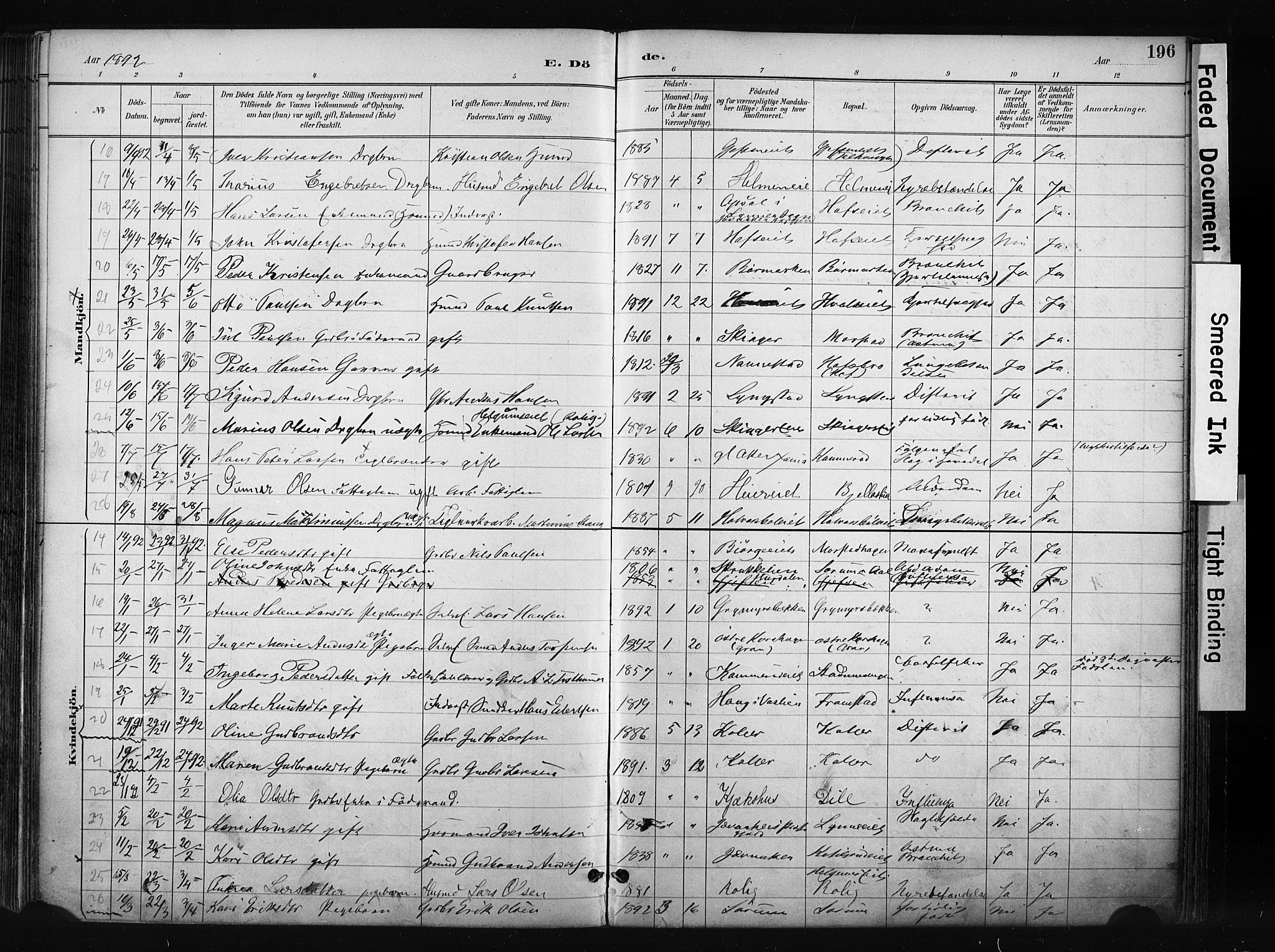Gran prestekontor, SAH/PREST-112/H/Ha/Haa/L0017: Parish register (official) no. 17, 1889-1897, p. 196