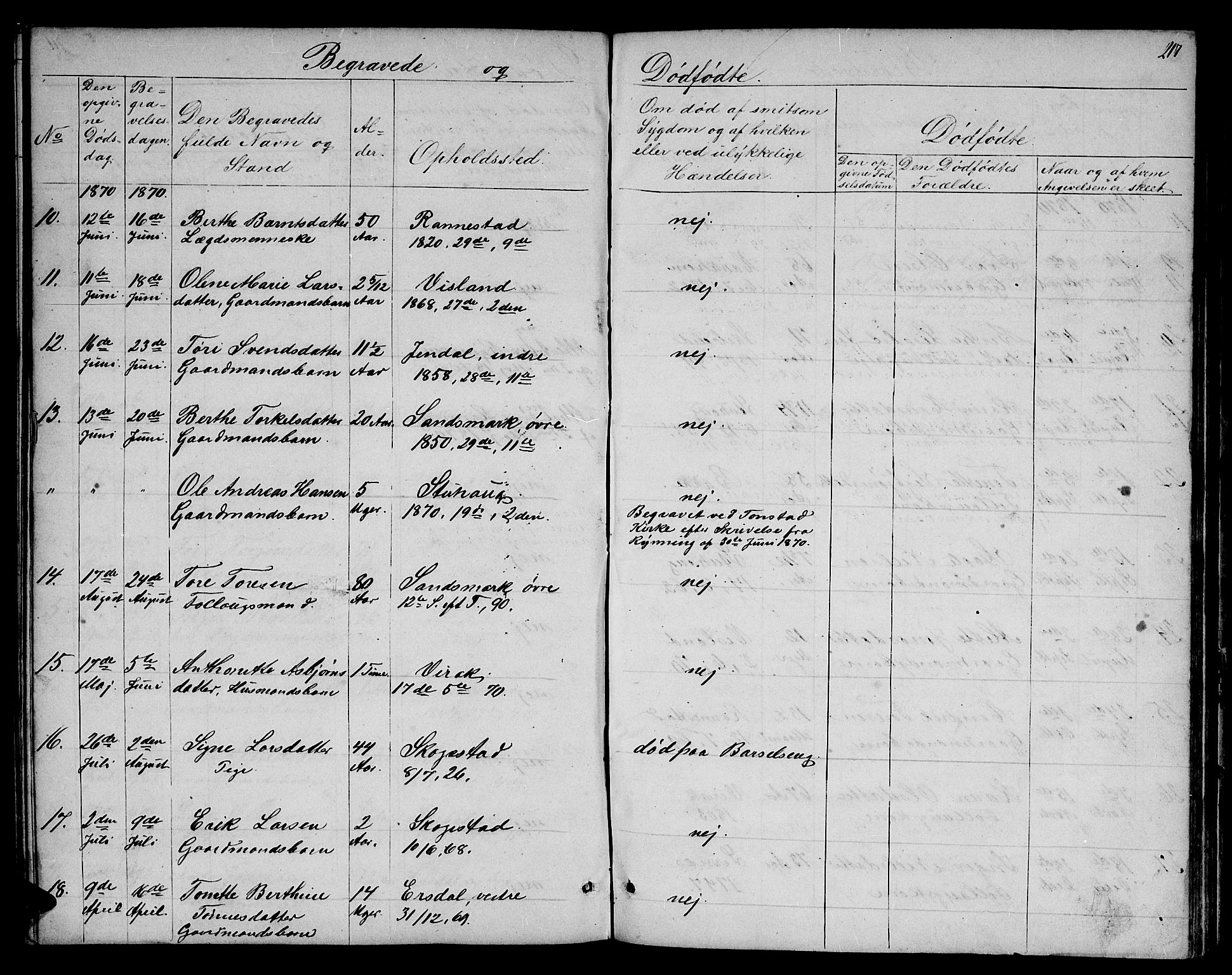 Bakke sokneprestkontor, SAK/1111-0002/F/Fb/Fba/L0001: Parish register (copy) no. B 1, 1849-1879, p. 217