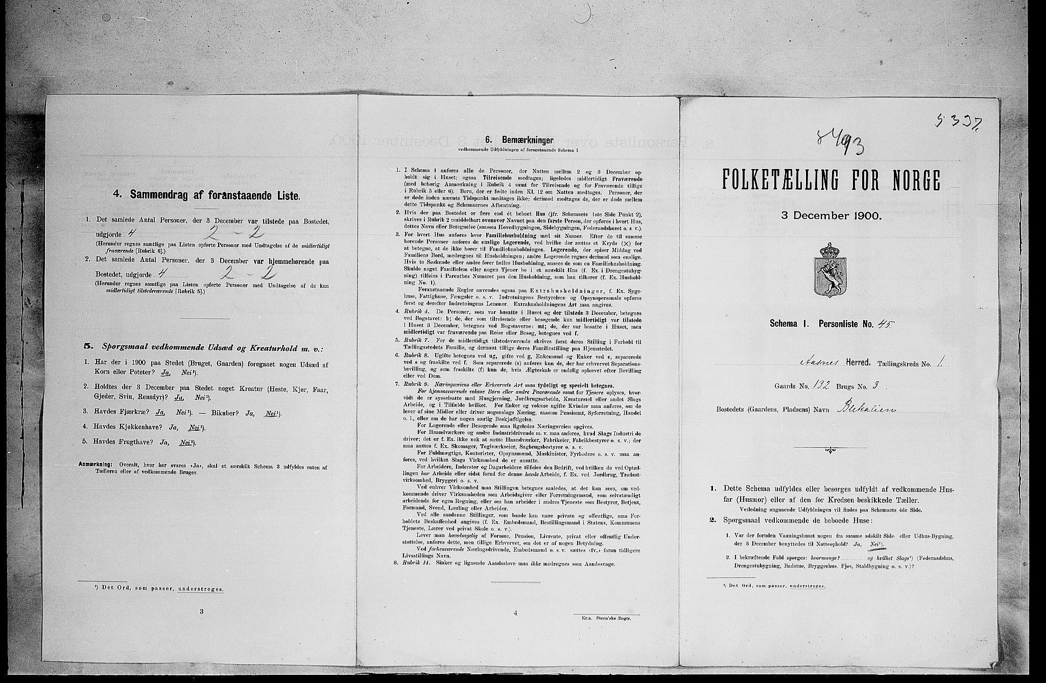 SAH, 1900 census for Åsnes, 1900, p. 56