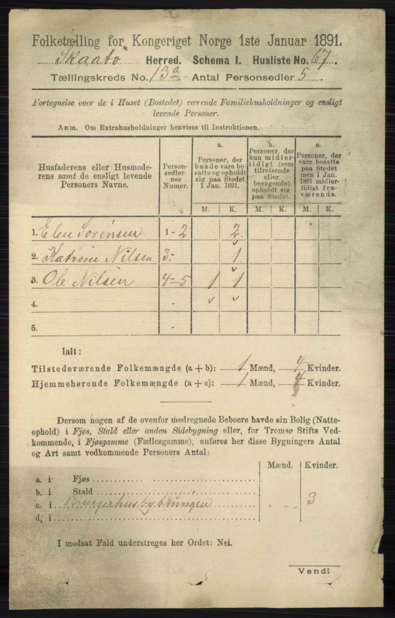 RA, 1891 census for 0815 Skåtøy, 1891, p. 4448