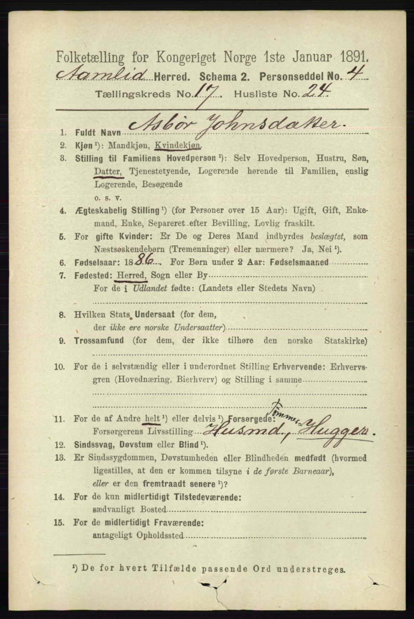 RA, 1891 census for 0929 Åmli, 1891, p. 2979