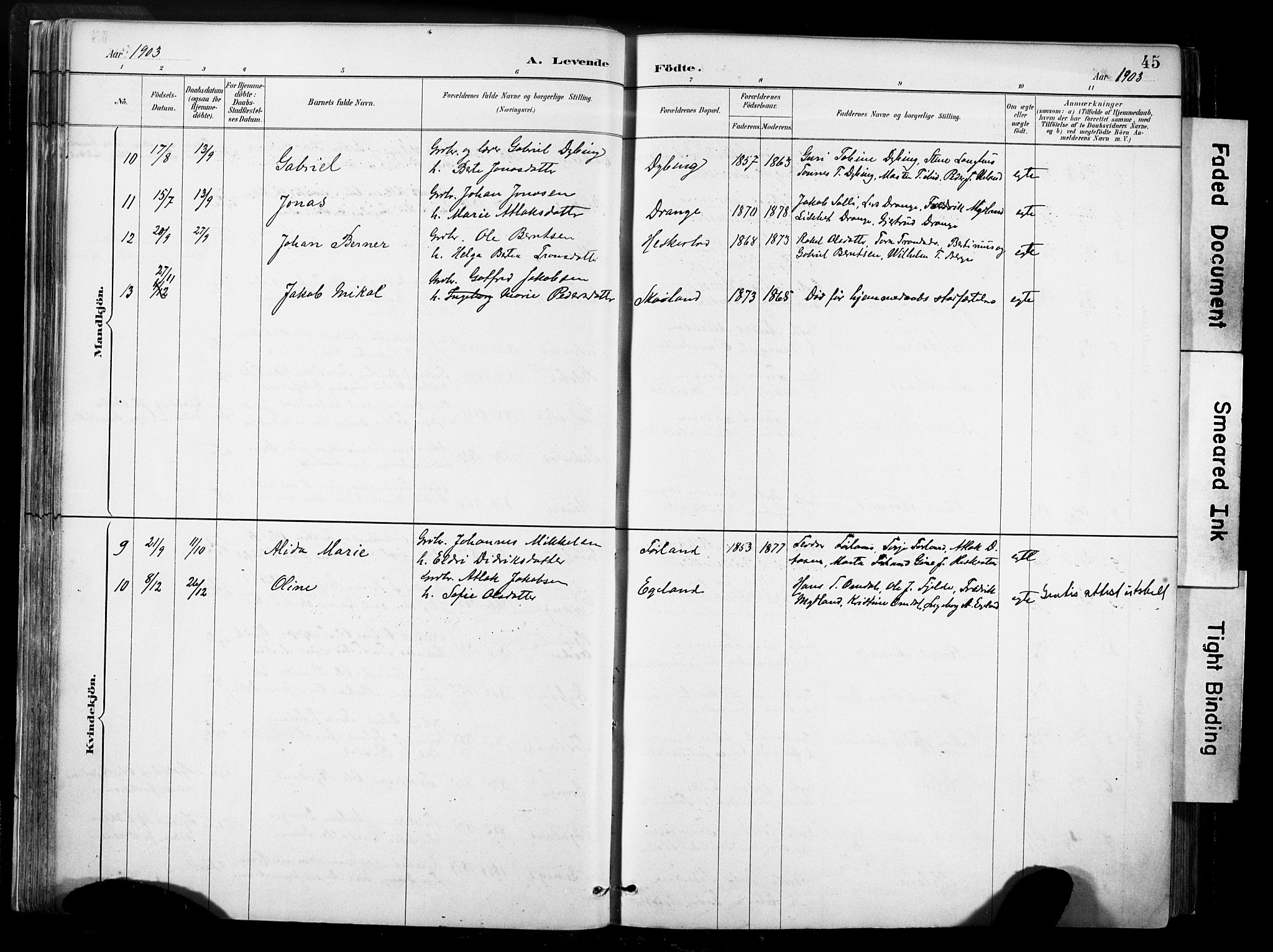 Lund sokneprestkontor, AV/SAST-A-101809/S06/L0012: Parish register (official) no. A 11, 1887-1921, p. 45