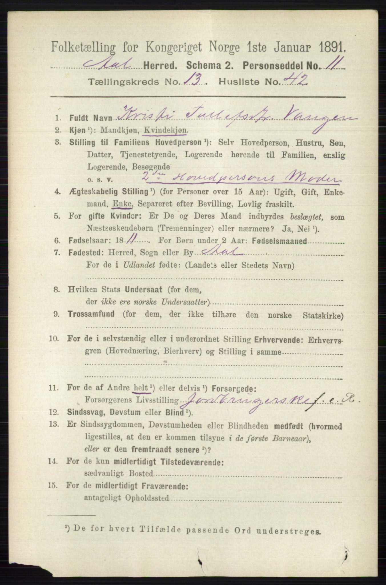 RA, 1891 census for 0619 Ål, 1891, p. 3504