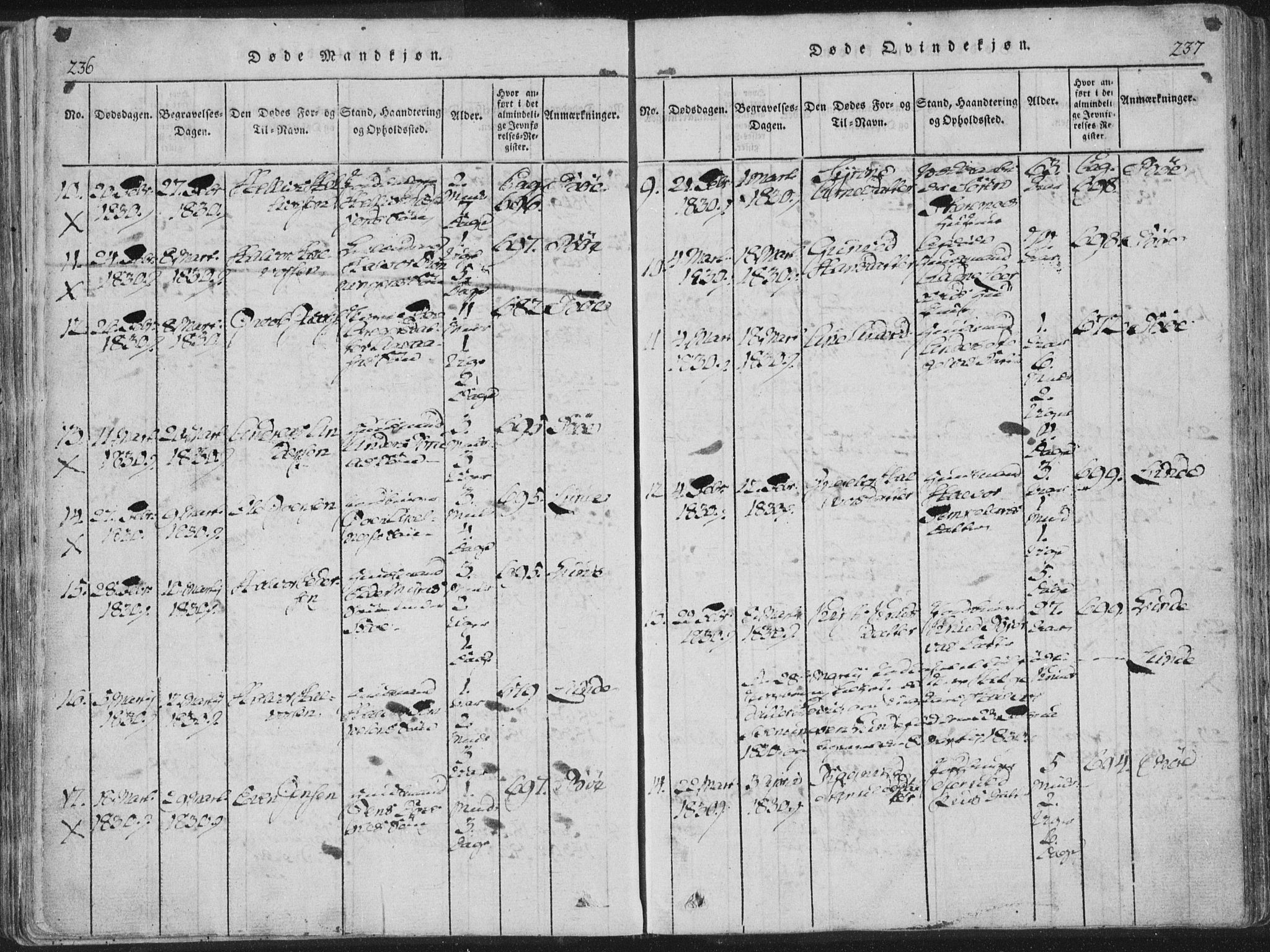 Bø kirkebøker, SAKO/A-257/F/Fa/L0006: Parish register (official) no. 6, 1815-1831, p. 236-237