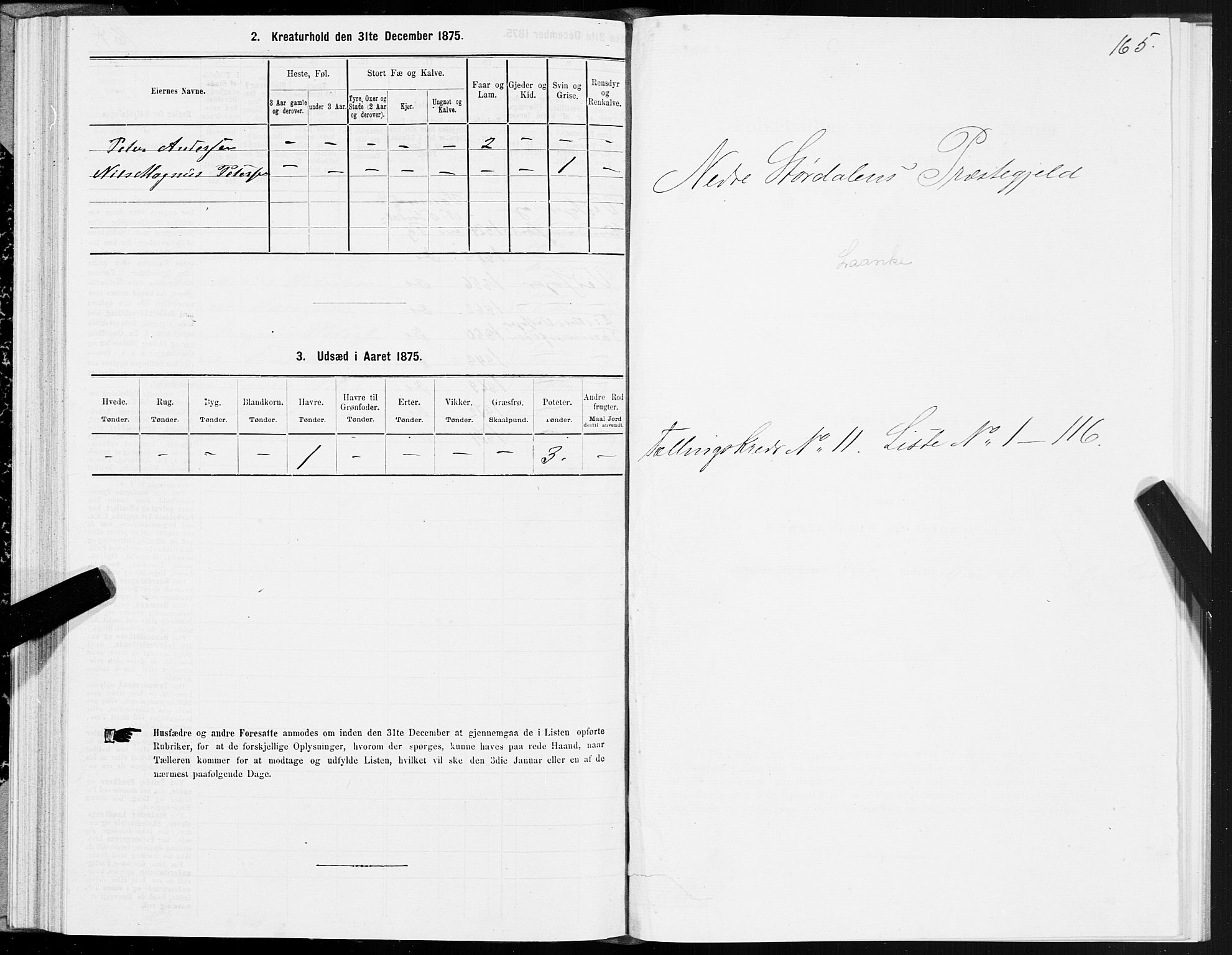 SAT, 1875 census for 1714P Nedre Stjørdal, 1875, p. 5165