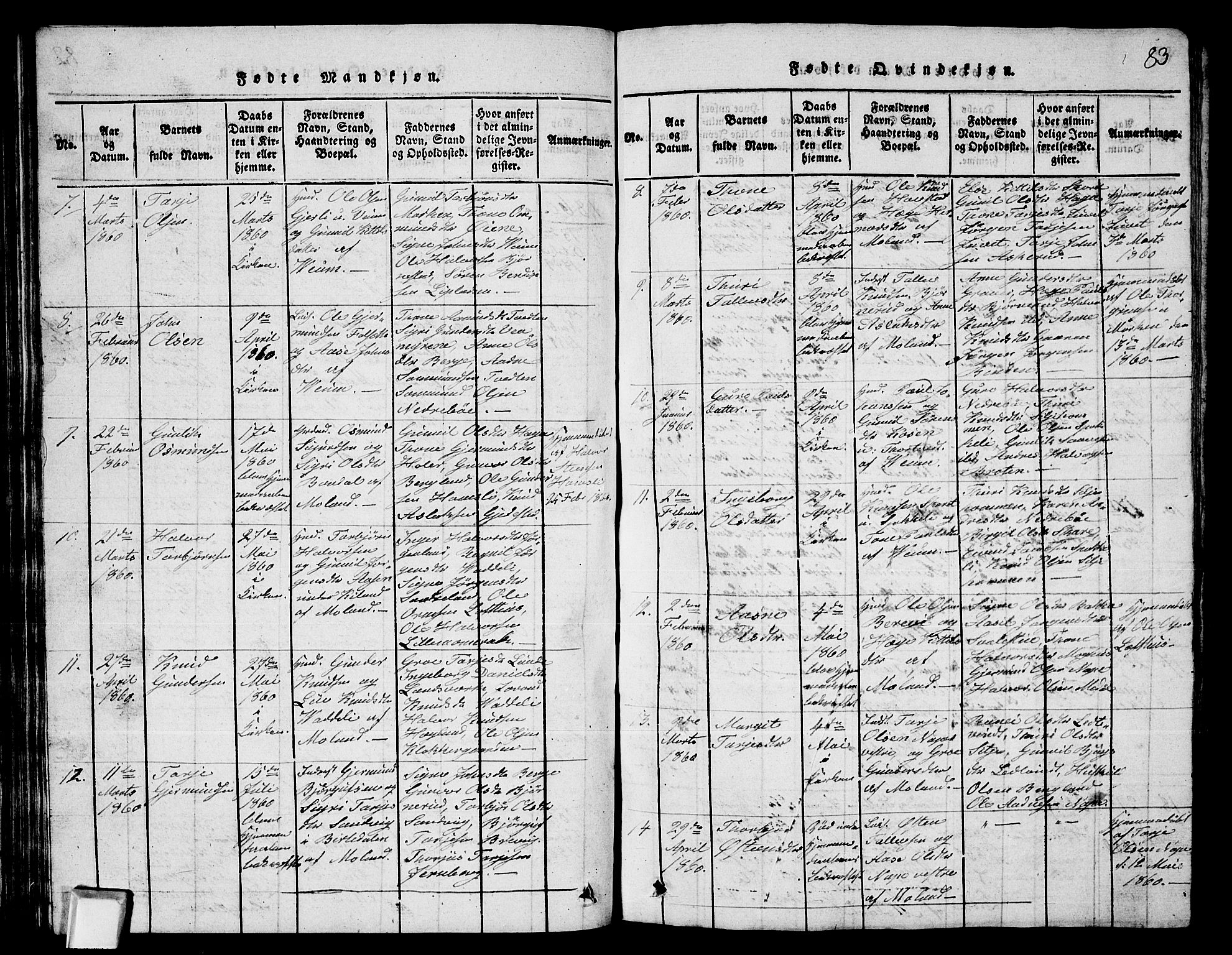 Fyresdal kirkebøker, SAKO/A-263/G/Ga/L0003: Parish register (copy) no. I 3, 1815-1863, p. 83