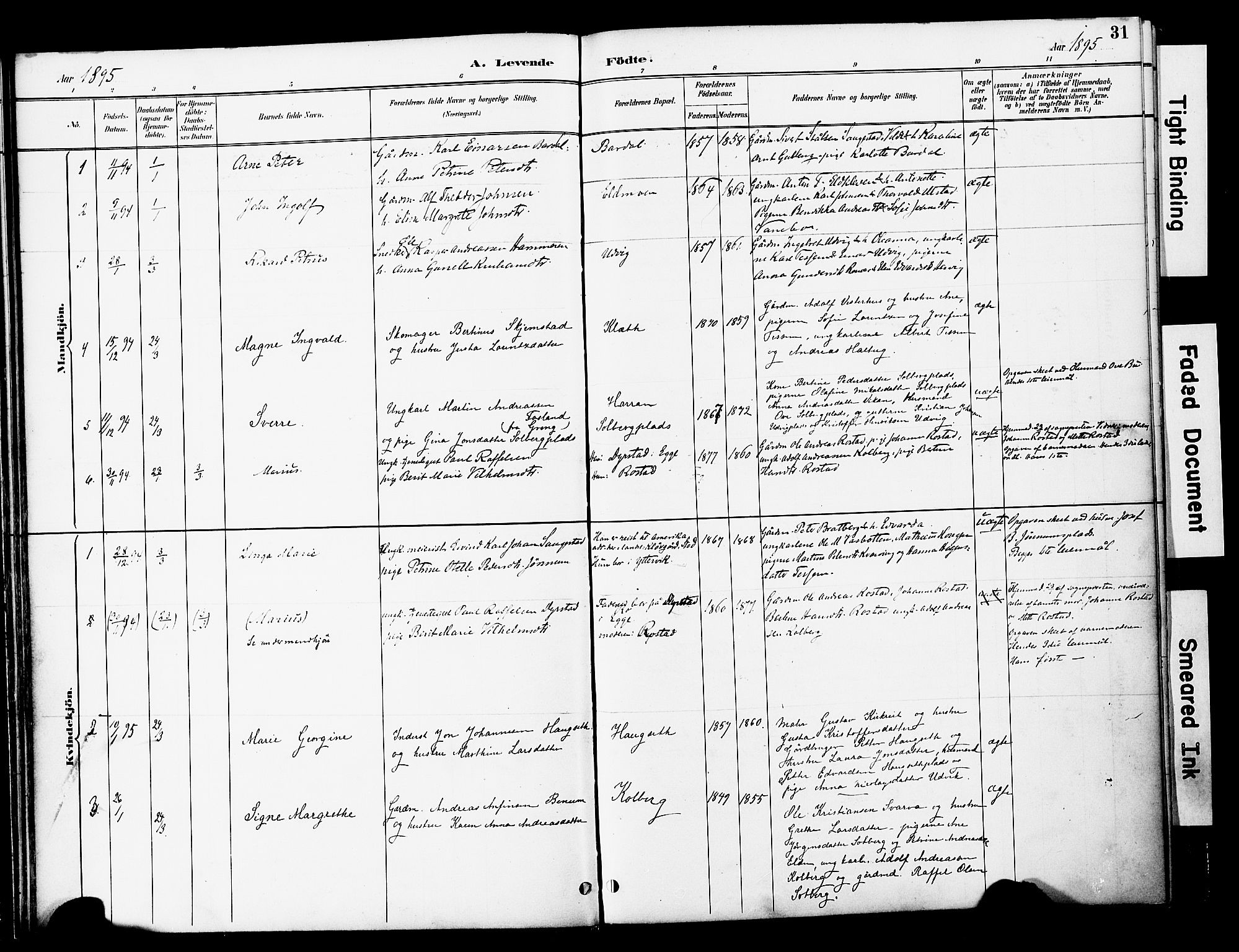 Ministerialprotokoller, klokkerbøker og fødselsregistre - Nord-Trøndelag, AV/SAT-A-1458/741/L0396: Parish register (official) no. 741A10, 1889-1901, p. 31