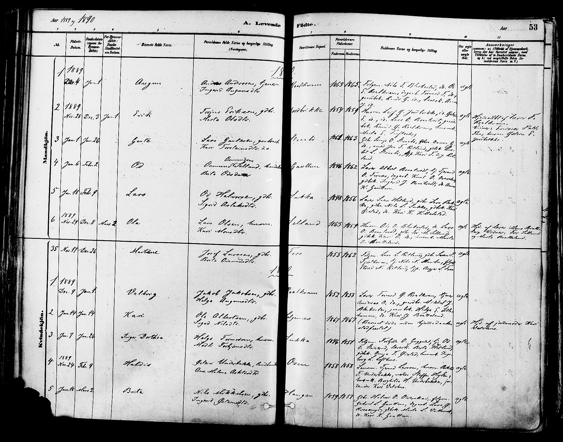 Suldal sokneprestkontor, AV/SAST-A-101845/01/IV/L0011: Parish register (official) no. A 11, 1878-1900, p. 53