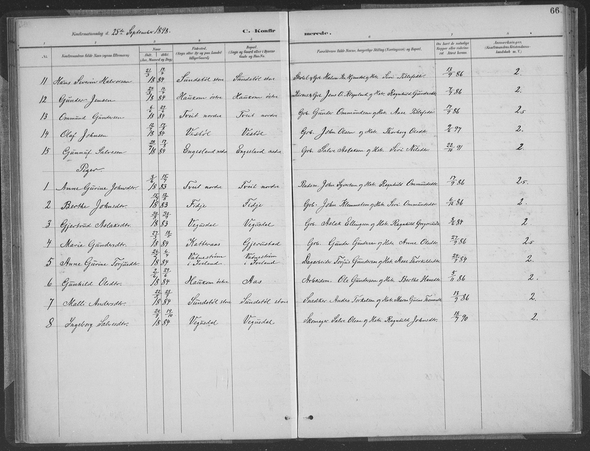 Herefoss sokneprestkontor, SAK/1111-0019/F/Fa/Fab/L0004: Parish register (official) no. A 4, 1887-1909, p. 66