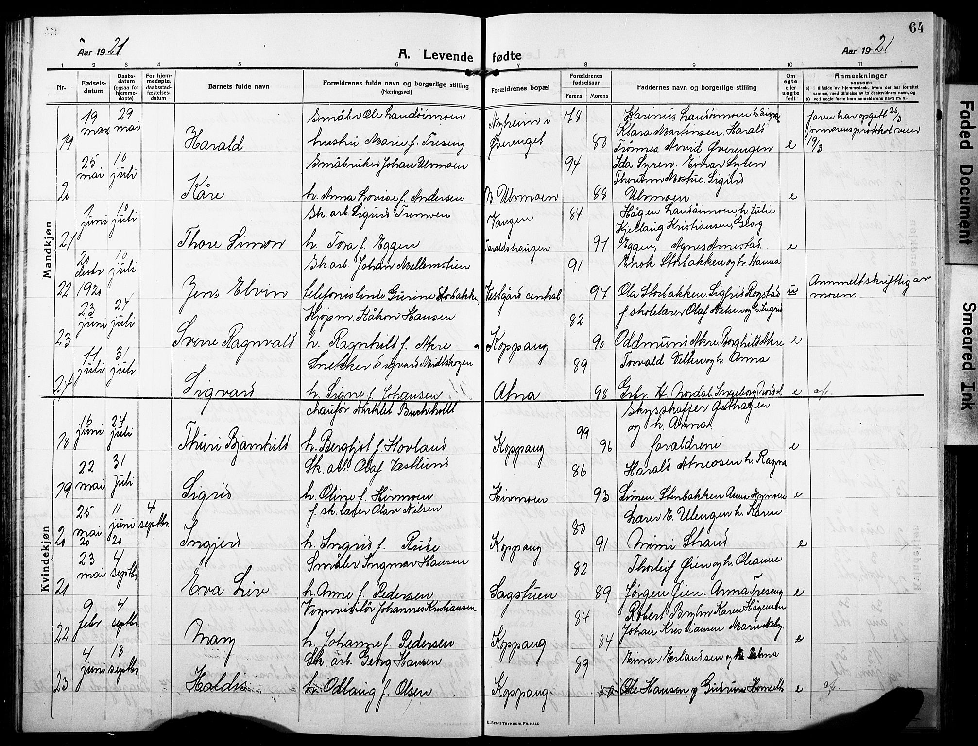 Stor-Elvdal prestekontor, AV/SAH-PREST-052/H/Ha/Hab/L0005: Parish register (copy) no. 5, 1913-1932, p. 64