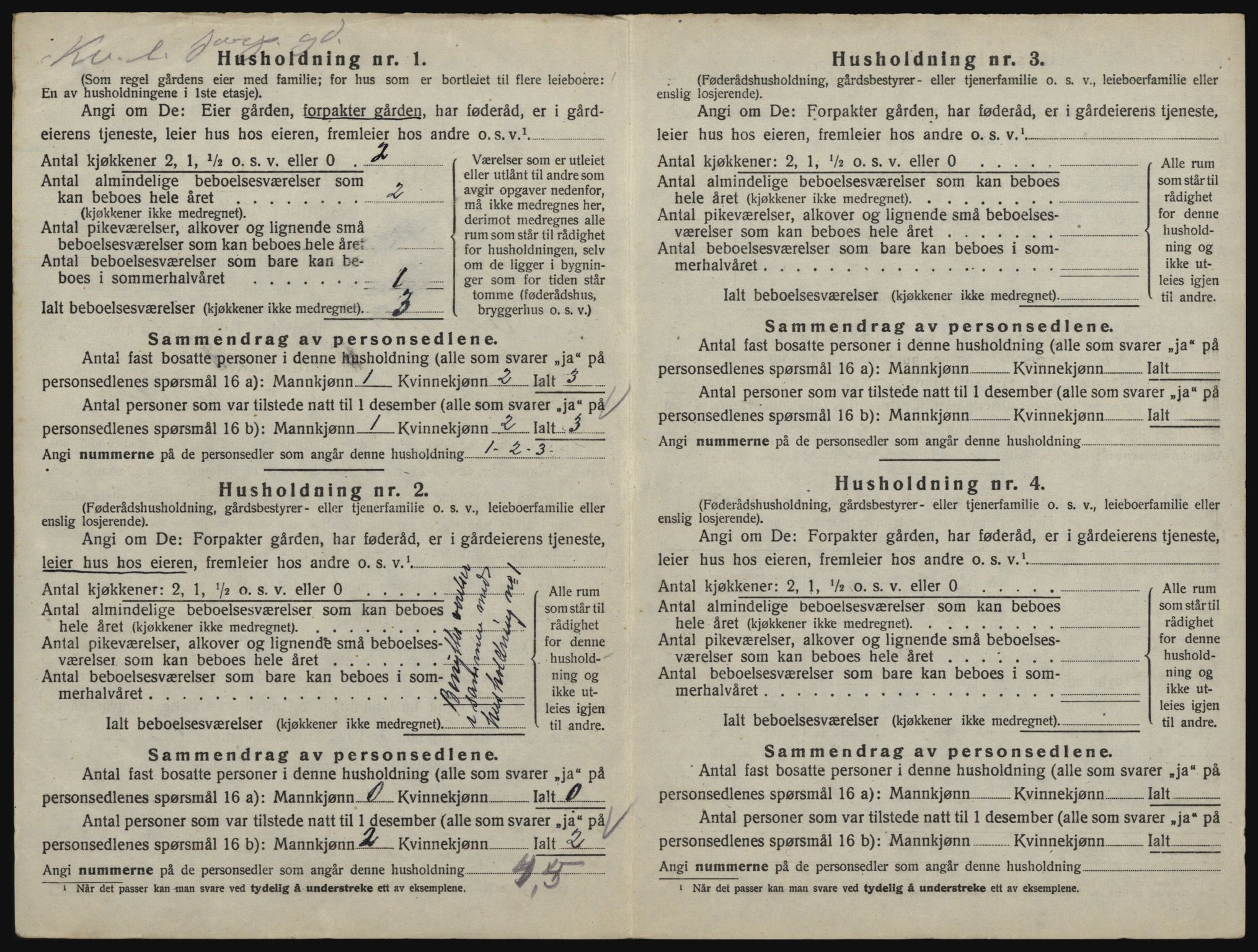 SAO, 1920 census for Rømskog, 1920, p. 17