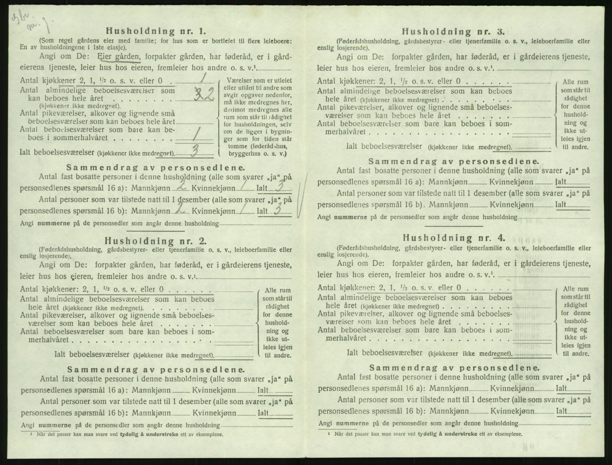 SAK, 1920 census for Hornnes, 1920, p. 316
