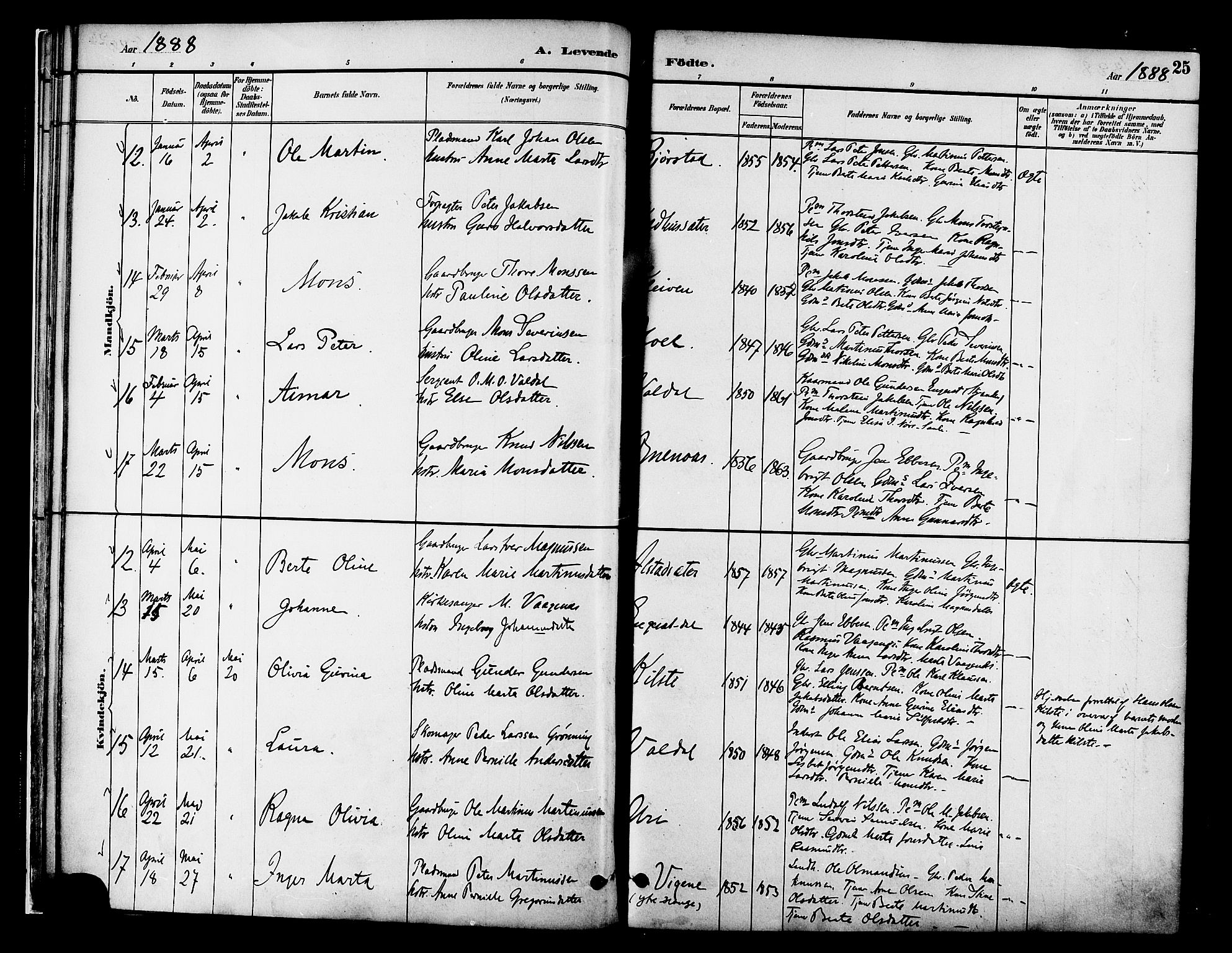 Ministerialprotokoller, klokkerbøker og fødselsregistre - Møre og Romsdal, AV/SAT-A-1454/519/L0255: Parish register (official) no. 519A14, 1884-1908, p. 25