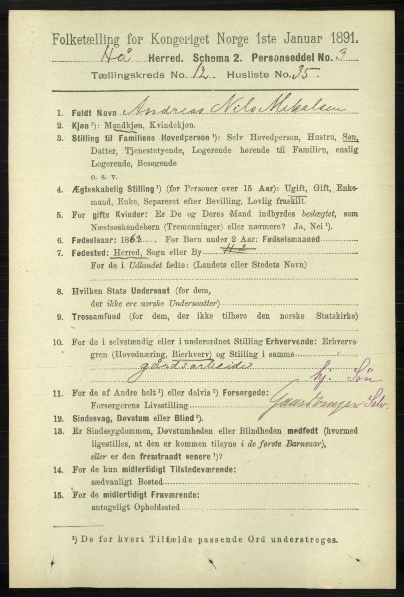 RA, 1891 census for 1119 Hå, 1891, p. 3100