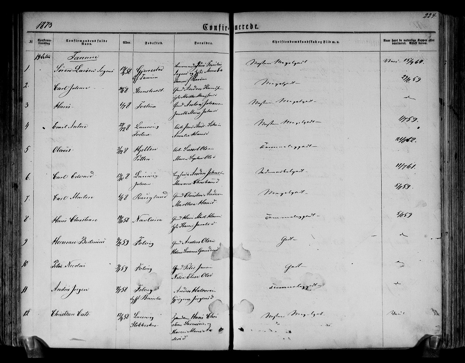 Brunlanes kirkebøker, AV/SAKO-A-342/F/Fa/L0005: Parish register (official) no. I 5, 1862-1877, p. 224