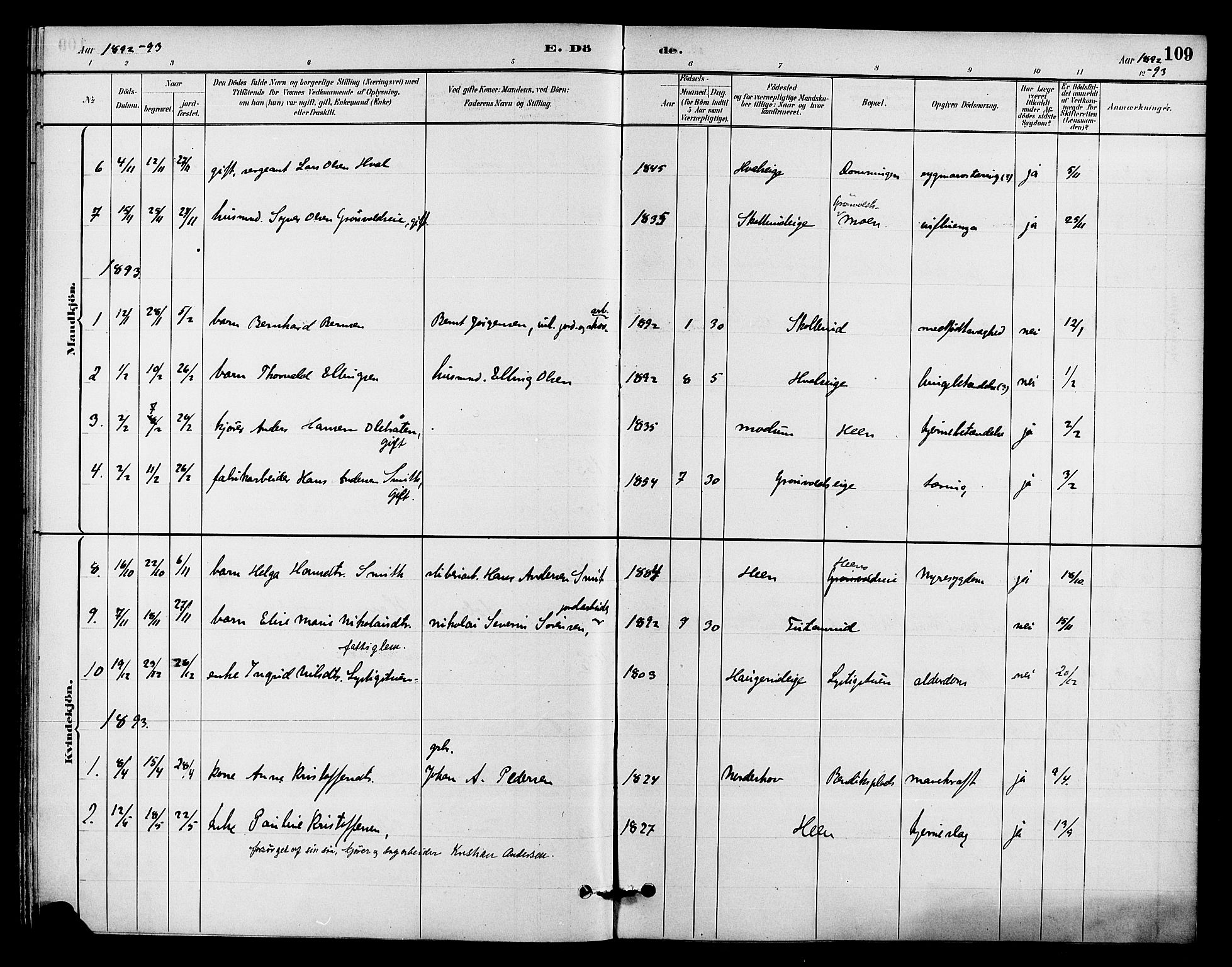 Ådal kirkebøker, AV/SAKO-A-248/F/Fb/L0001: Parish register (official) no. II 1, 1884-1897, p. 109