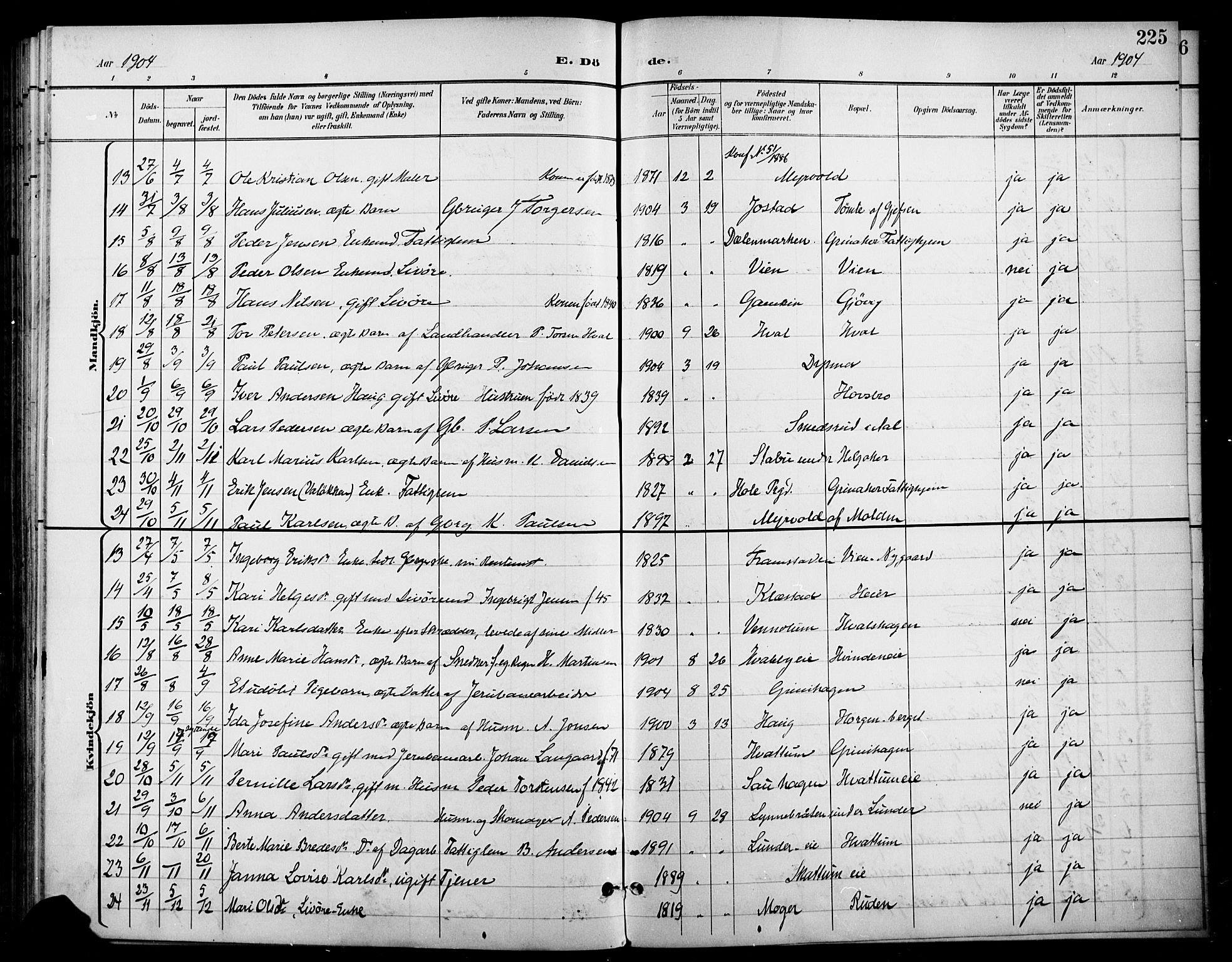 Gran prestekontor, AV/SAH-PREST-112/H/Ha/Haa/L0019: Parish register (official) no. 19, 1898-1907, p. 225