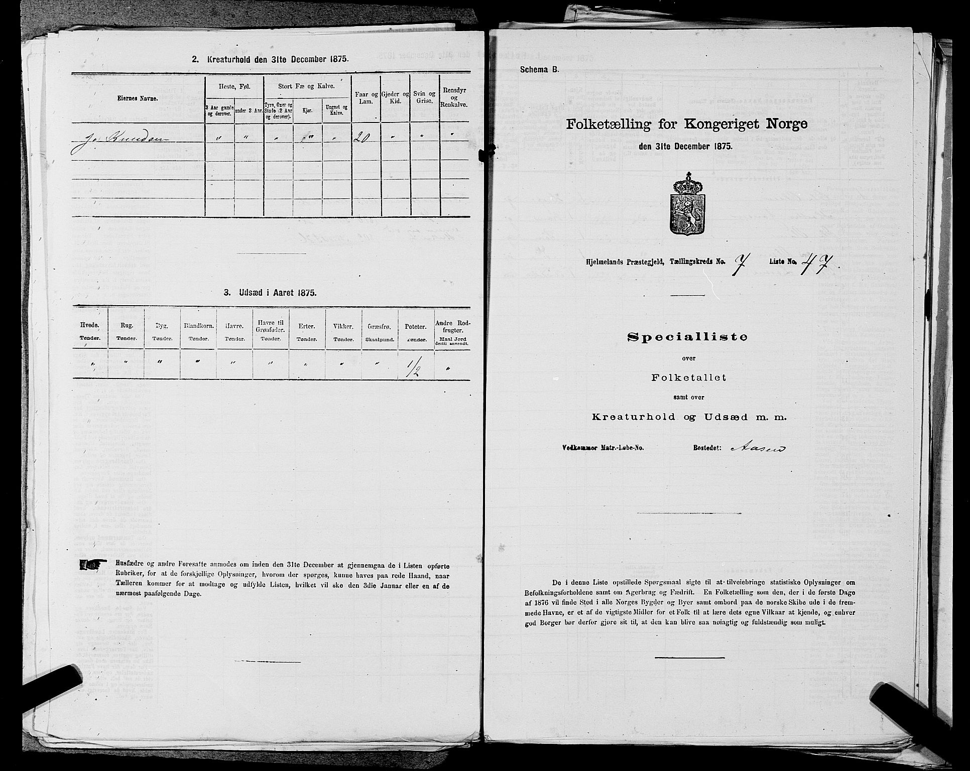 SAST, 1875 census for 1133P Hjelmeland, 1875, p. 996